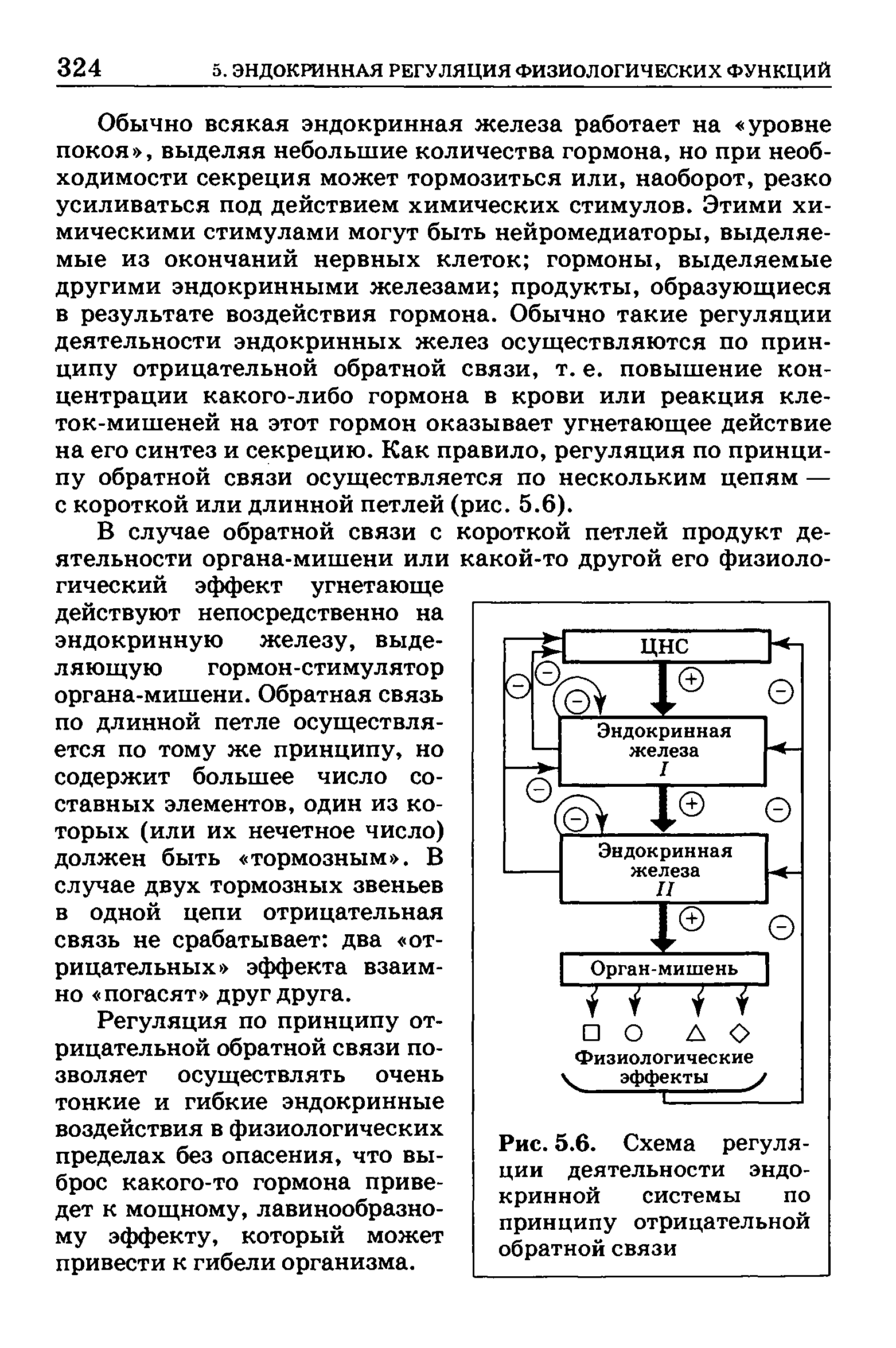 Рис. 5.6. Схема регуляции деятельности эндокринной системы по принципу отрицательной обратной связи...