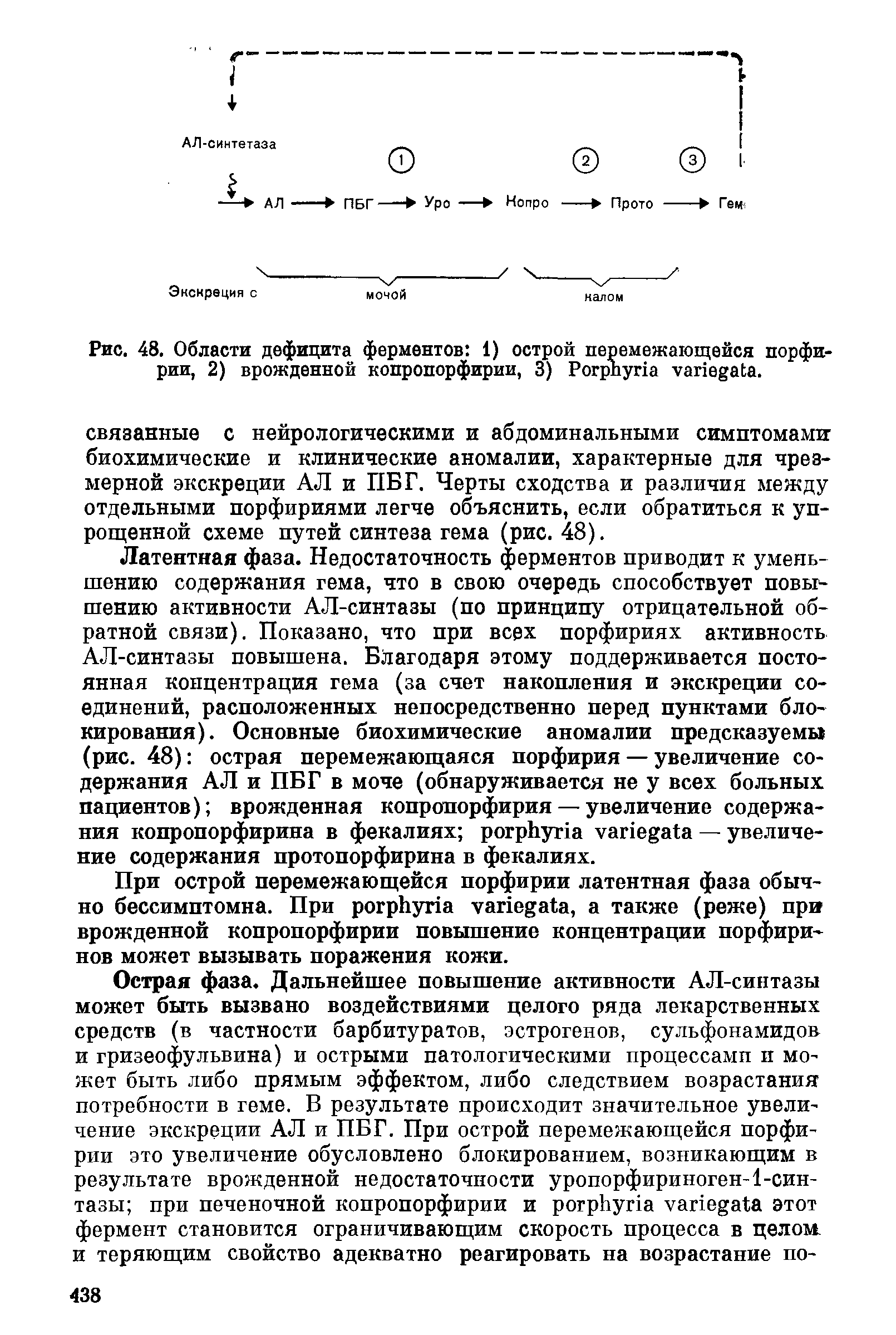 Рис. 48. Области дефицита ферментов 1) острой перемежающейся порфирии, 2) врожденной копропорфирии, 3) P .