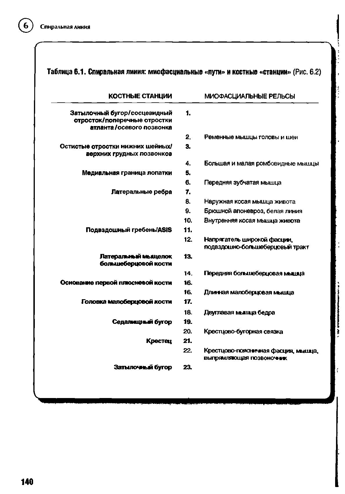 Таблица 6.1. Спиральная линия миофасциальные пути и костные станции (Рис. 6.2)...