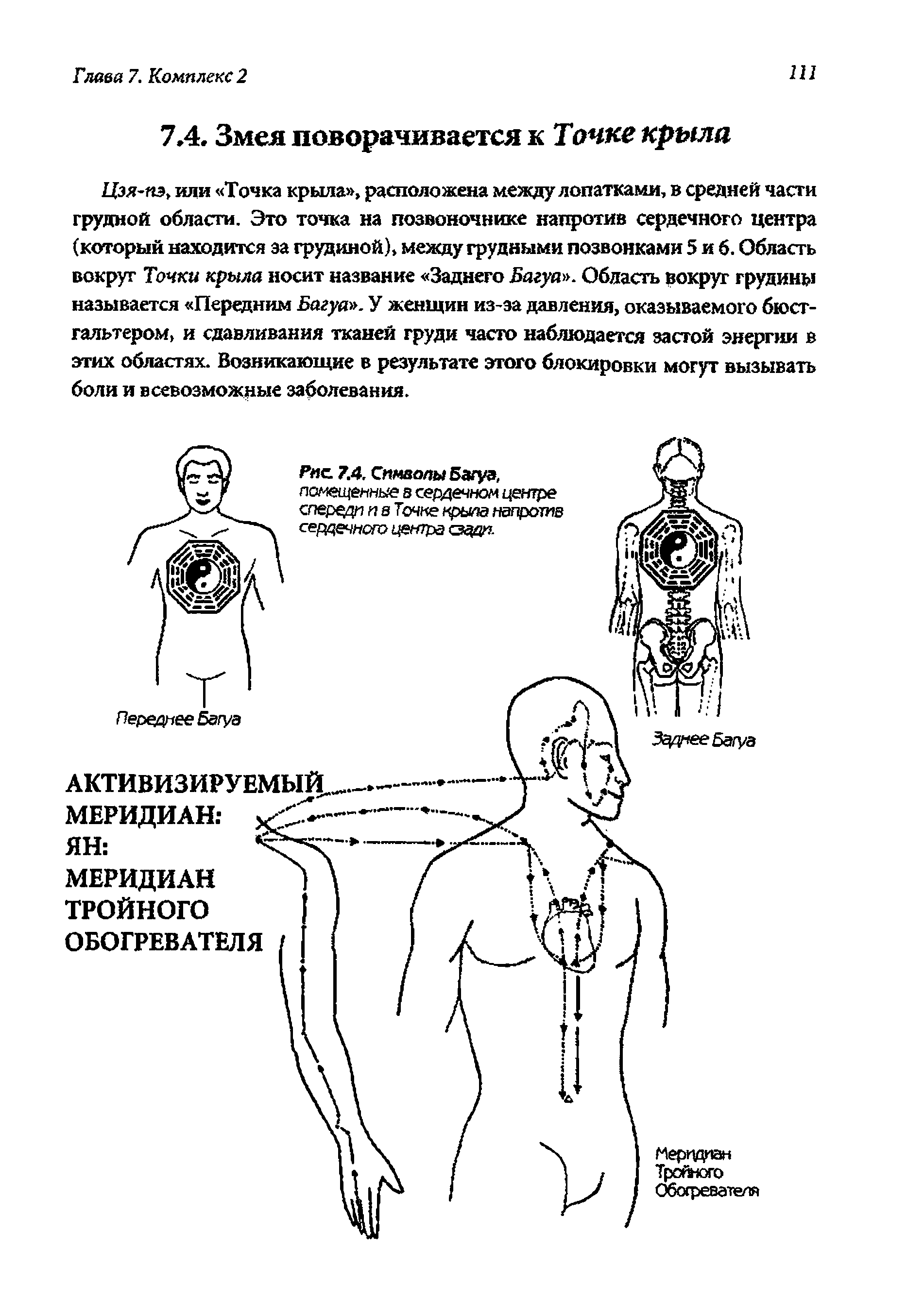 Рис. 7.4, Символы Багуа, помещенные в сердечном центре спереди и в Точке крыла напротв сердечною центра сзддп...