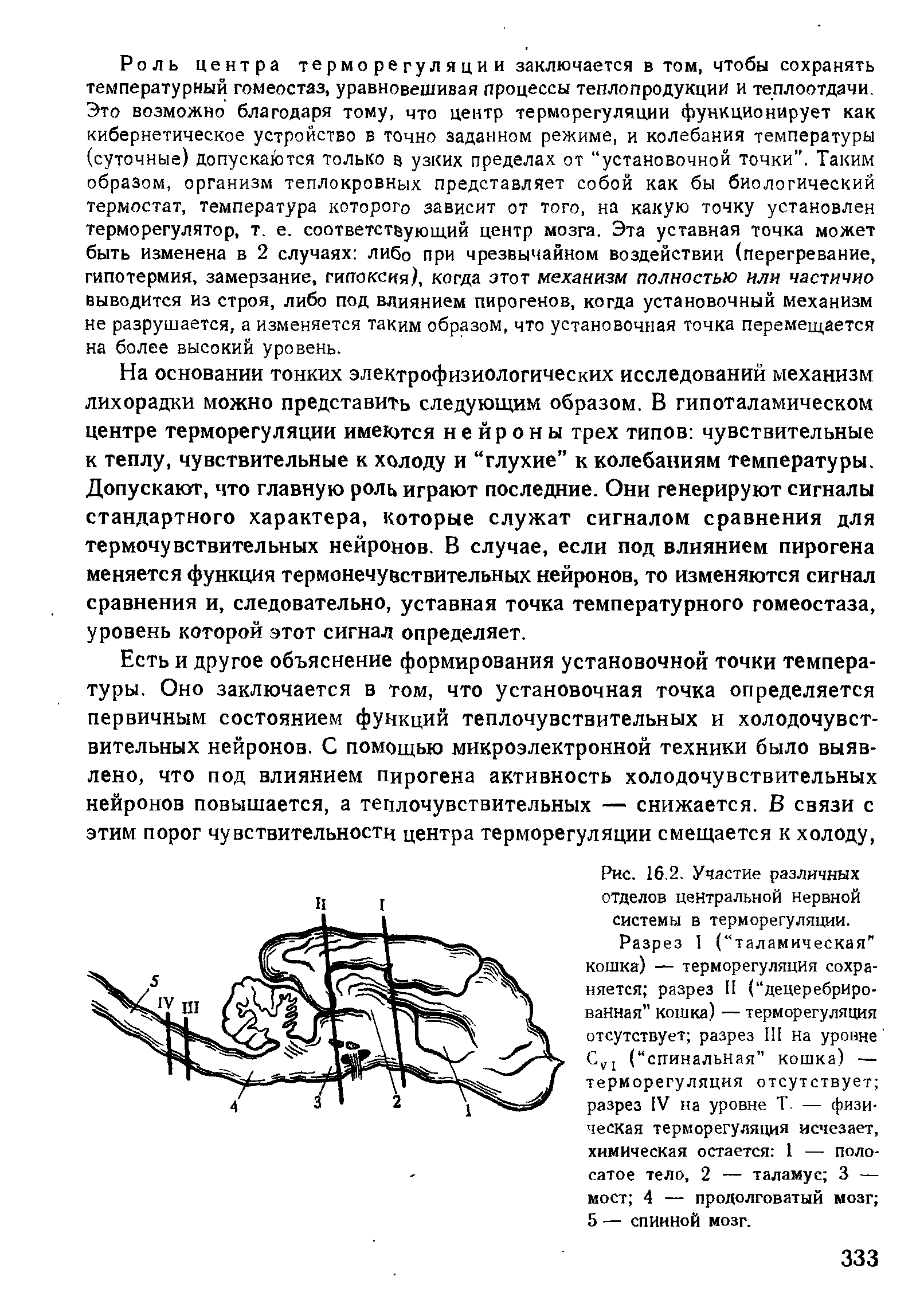 Рис. 16.2. Участие различных отделов центральной Нервной системы в терморегуляции.