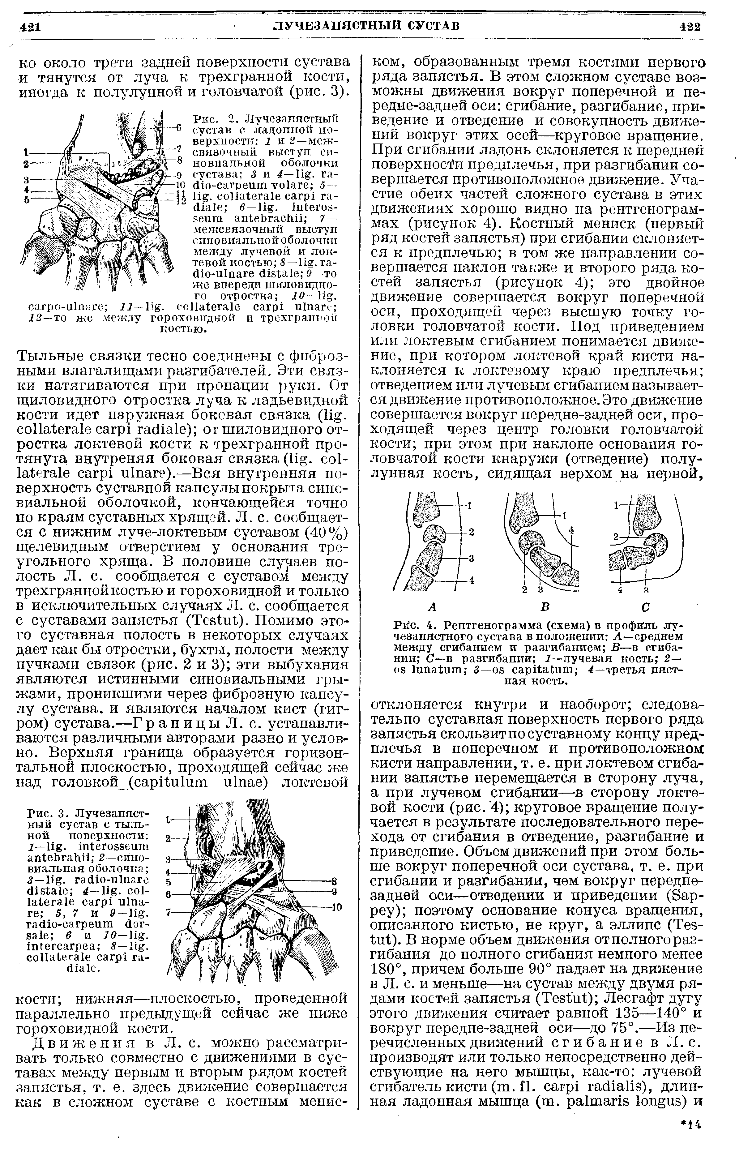 Рис. 3. Лучезапястный сустав с тыльной поверхности 1— . 2—синовиальная оболочка 3— . - 4— . 5, 7 и 9 — . - 6 10— . 8— . .