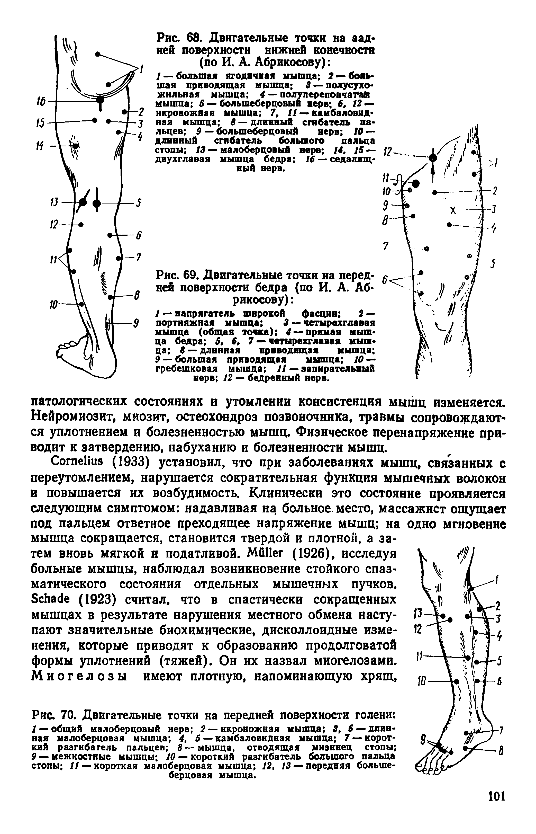 Рис. 70. Двигательные точки на передней поверхности голени. / — общий малоберцовый нерв 2 — икроножная мышца 3, б —длинная малоберцовая мышца 4, 5 — камбаловидная мышца 7 —короткий разгибатель пальцев 8—мышца, отводящая мизинец стопы 9 — межкостные мышцы 10 — короткий разгибатель большого пальца стопы // — короткая малоберцовая мышца 12, /3 —передняя большеберцовая мышца.