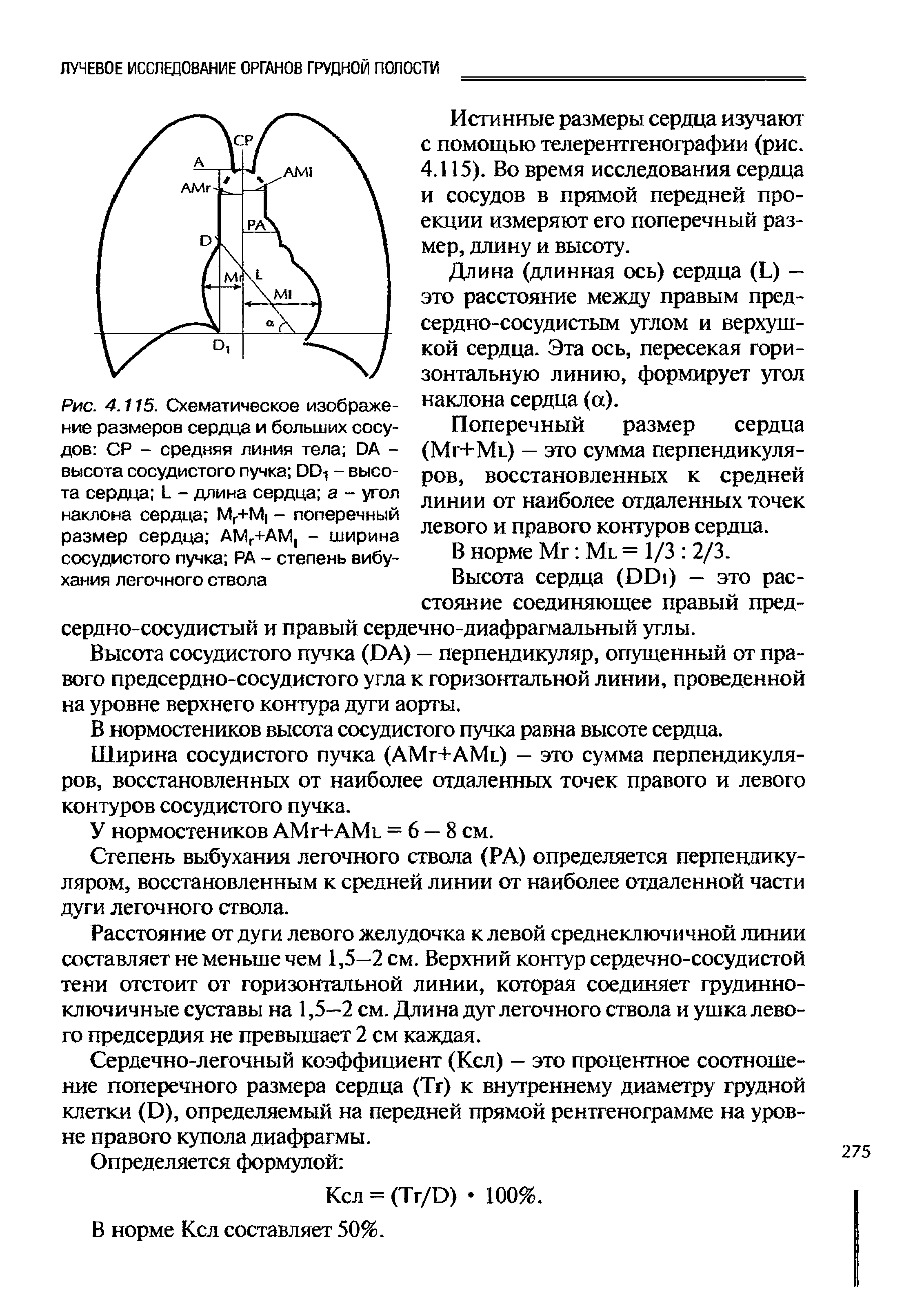 Рис. 4.115. Схематическое изображение размеров сердца и больших сосудов СР - средняя линия тела ОА -высота сосудистого пучка 00 - высота сердца Ь - длина сердца а - угол наклона сердца Мг+М - поперечный размер сердца АМГ+АЦ - ширина сосудистого пучка РА - степень вибу-хания легочного ствола...