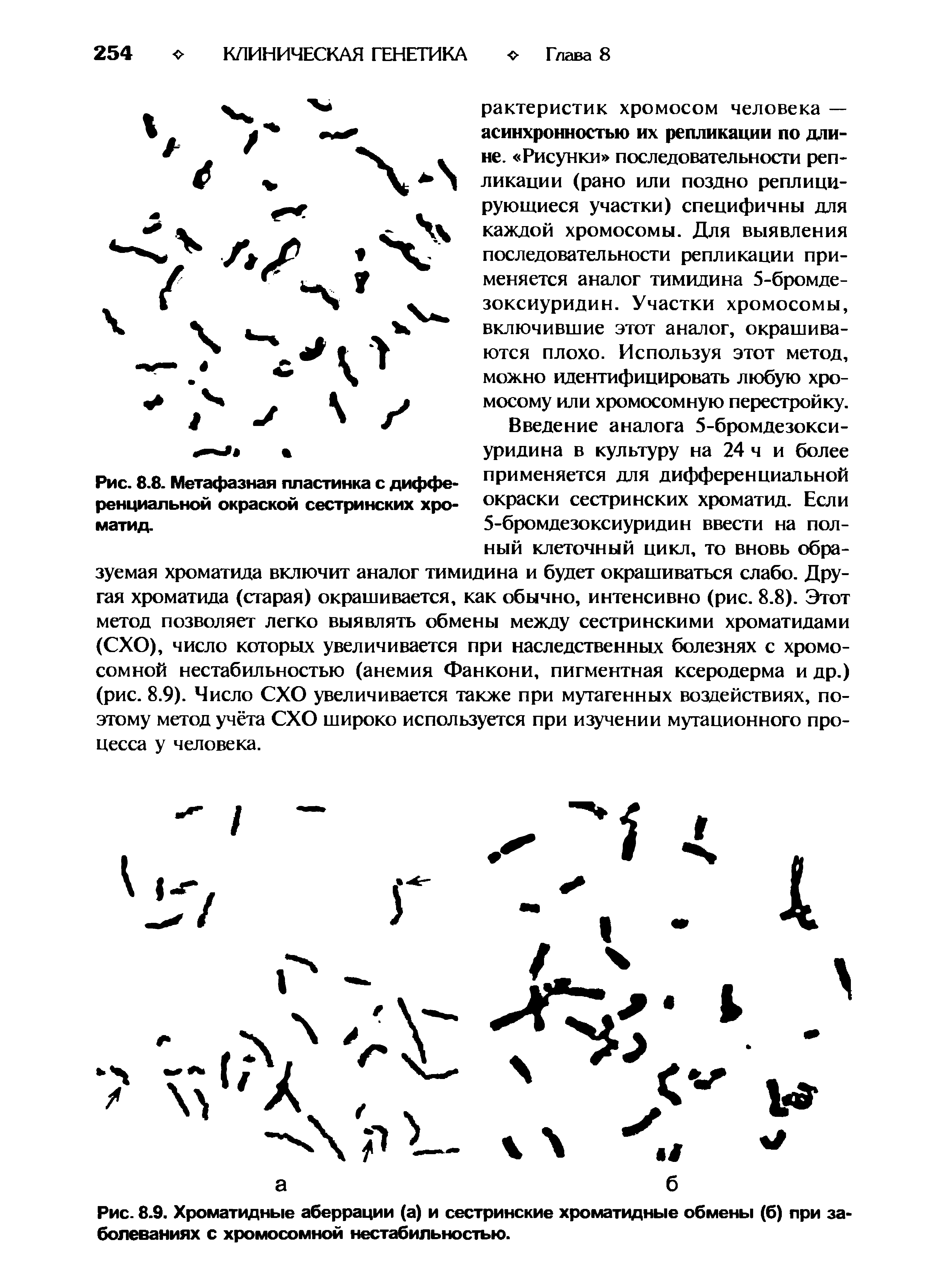 Рис. 8.9. Хроматидные аберрации (а) и сестринские хроматидные обмены (б) при заболеваниях с хромосомной нестабильностью.