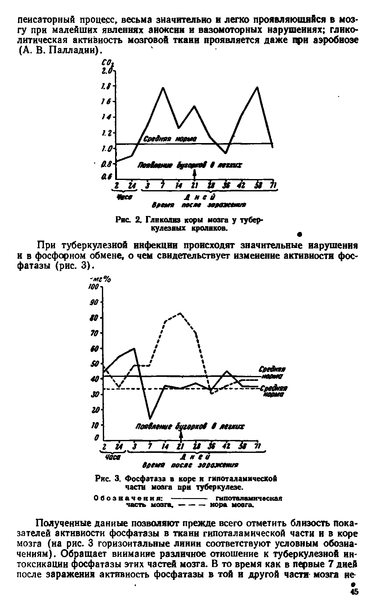 Рис. 3. Фосфатаза в коре и гипоталамической части мозга при туберкулезе.