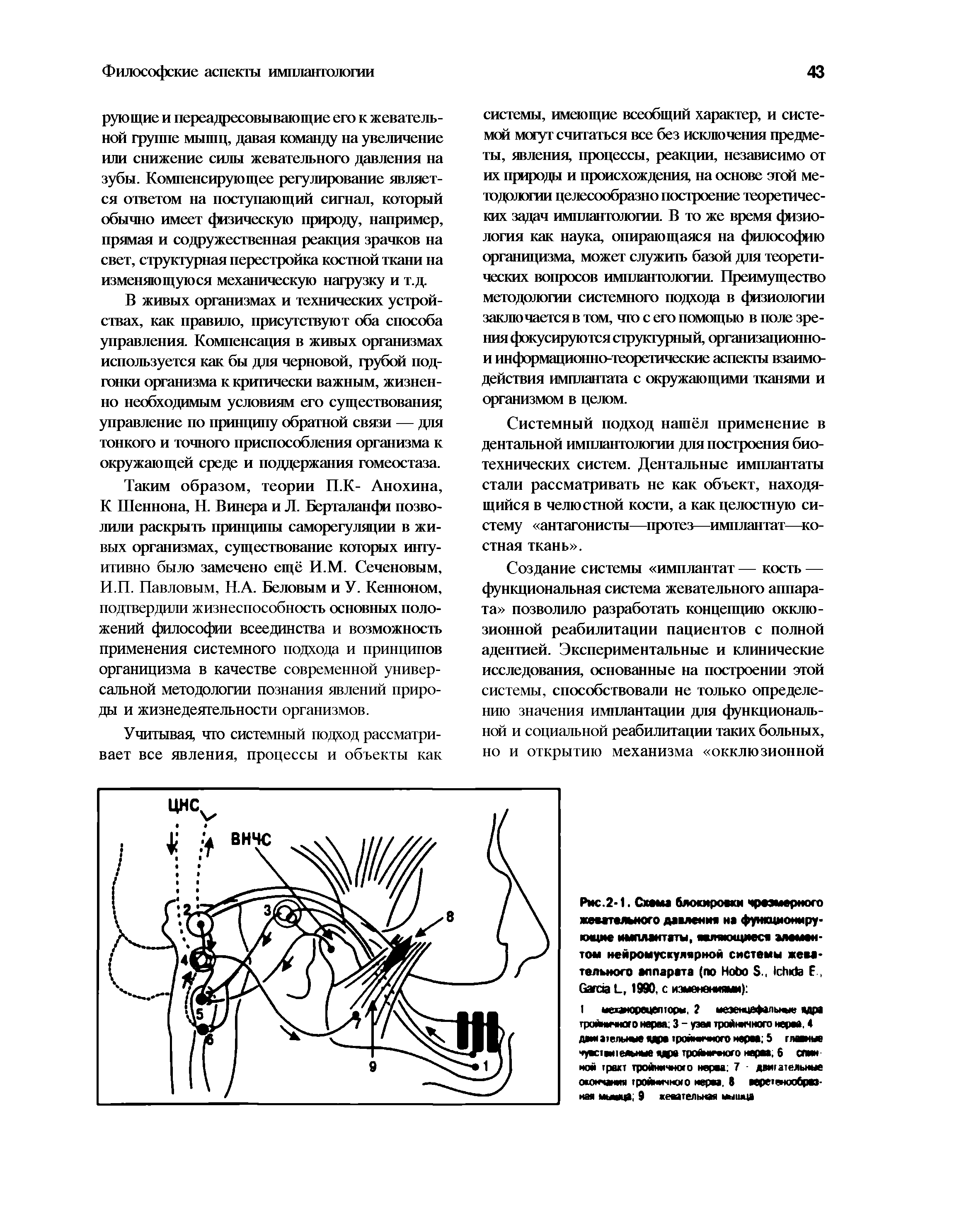 Рис.2-1. Скаем блокировки чрезмерного жевательного давления на функционирующие имплантаты, являющиеся моментом нейромускулярной системы жевательного аппарата (по H S., I Е, G L, 1990, с изменениями) ...