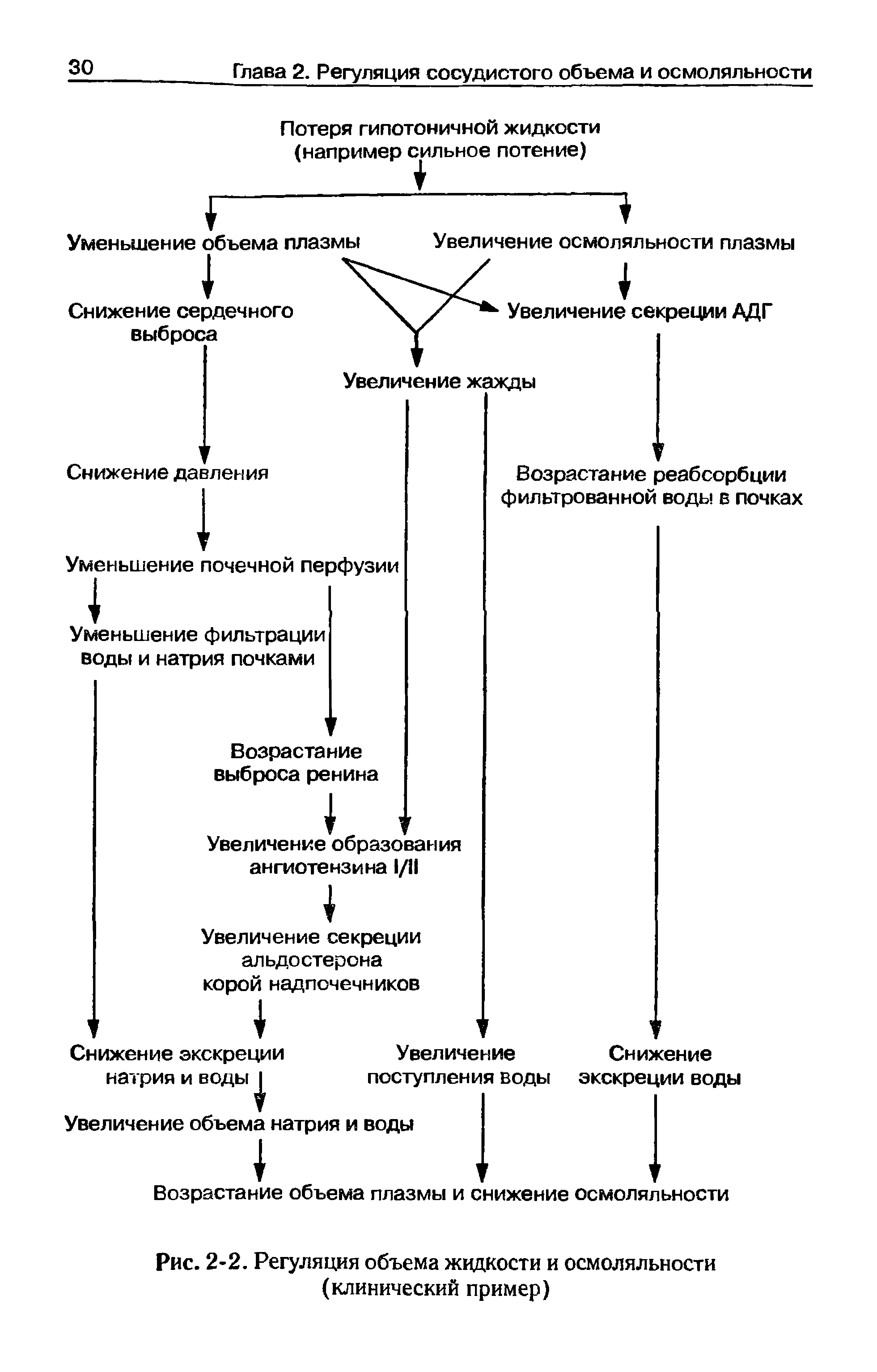 Рис. 2-2. Регуляция объема жидкости и осмоляльности (клинический пример)...