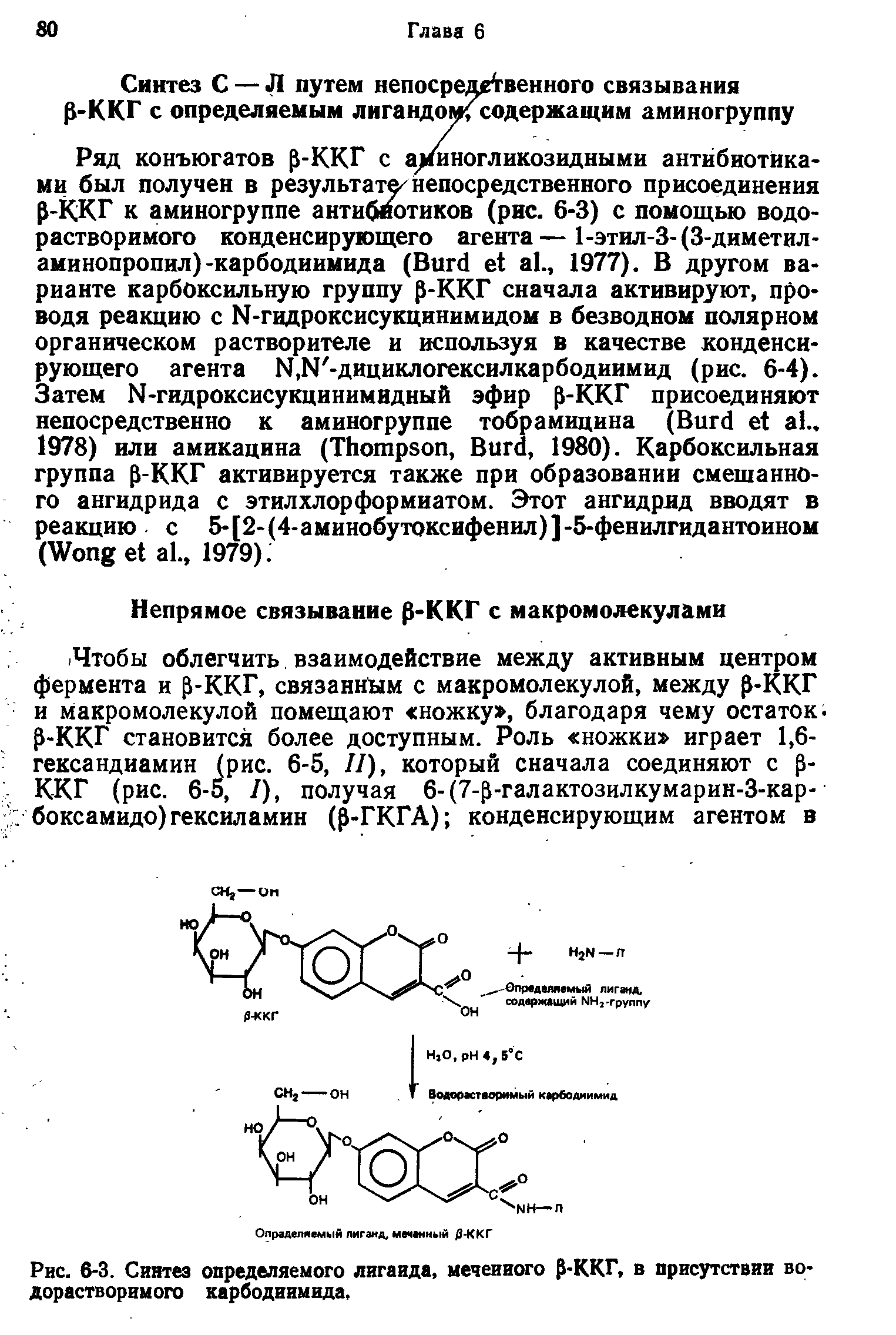 Рис. 6-3. Синтез определяемого лигаида, меченного Р-ККГ, в присутствии водорастворимого карбодиимида.