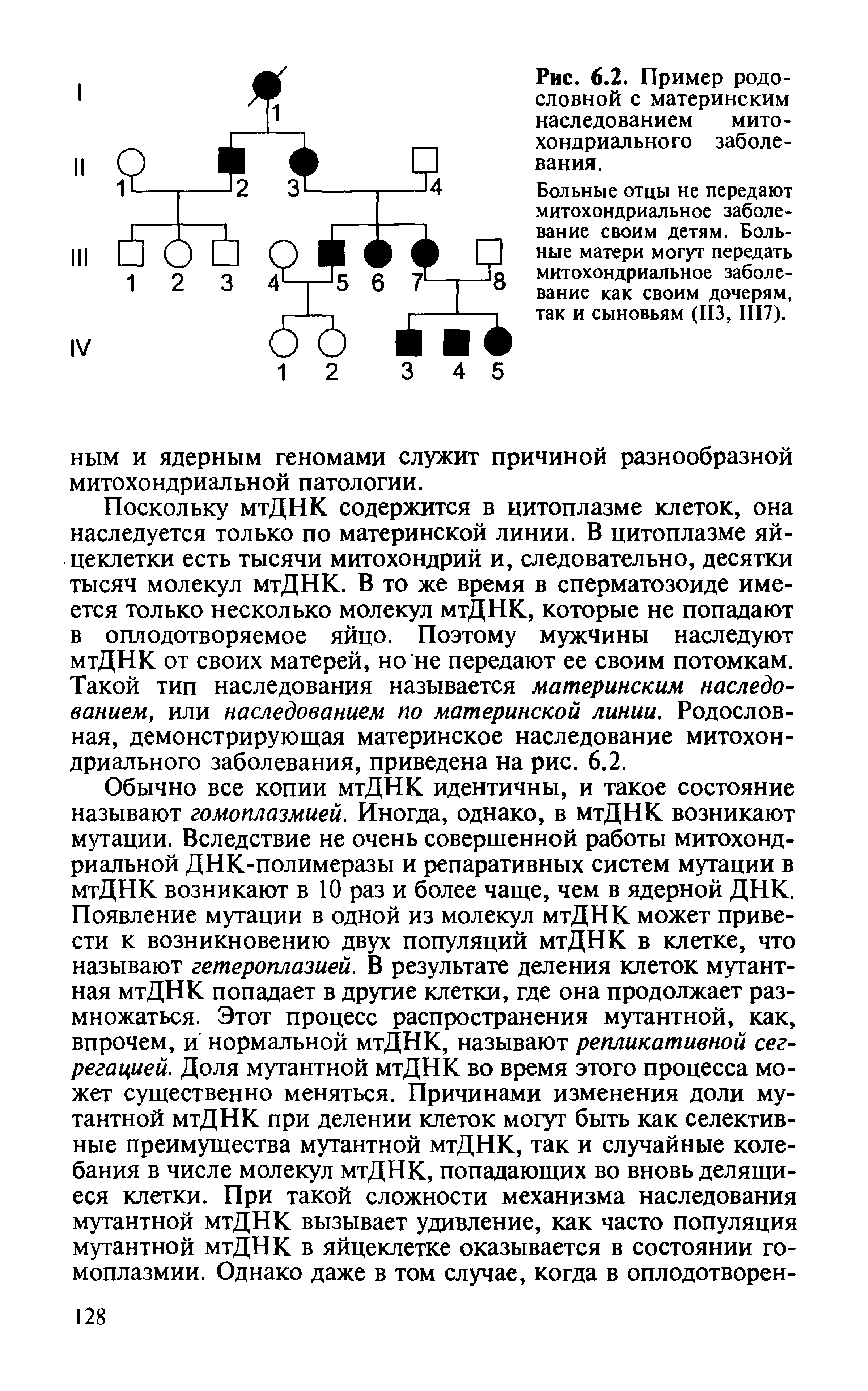 Рис. 6.2. Пример родословной с материнским наследованием митохондриального заболевания.