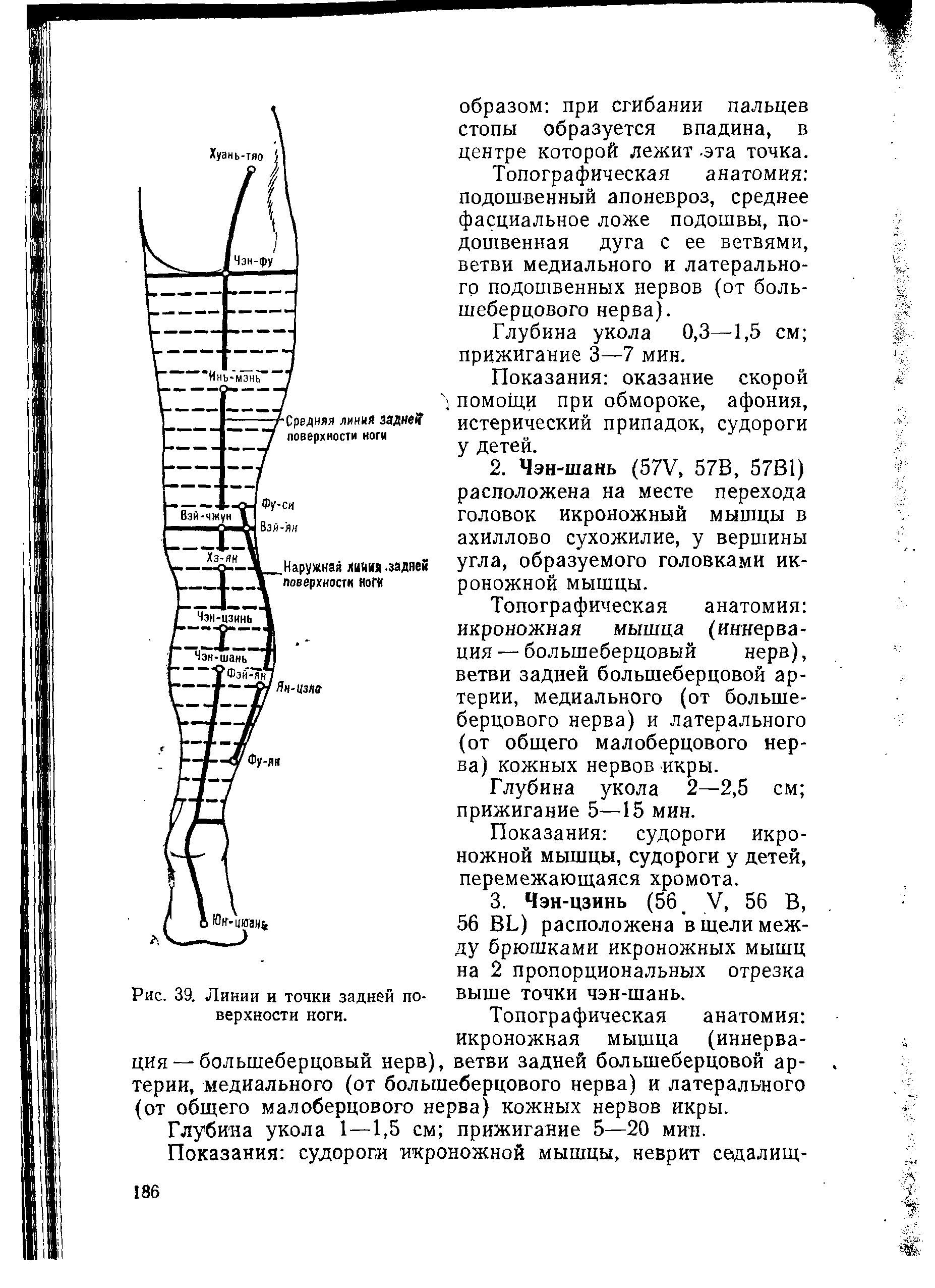 Рис. 39. Линии и точки задней по- выше ТОЧКИ чэн-шань.