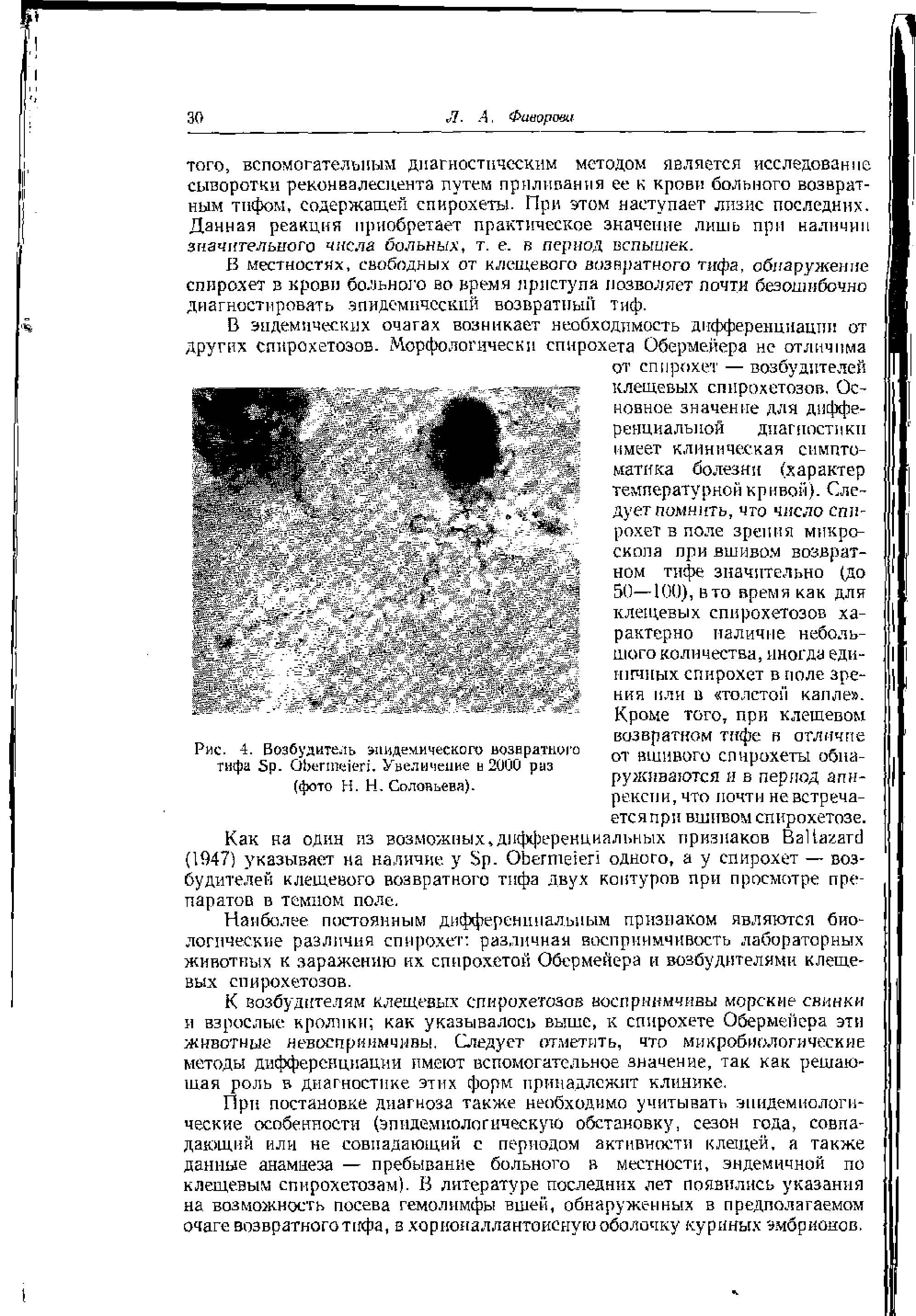 Рис. 4. Возбудитель эпидемического возвратного тифа 5р. ОЬепгилеп. Увеличение в 2000 раз (фото Н. Н. Соловьева).