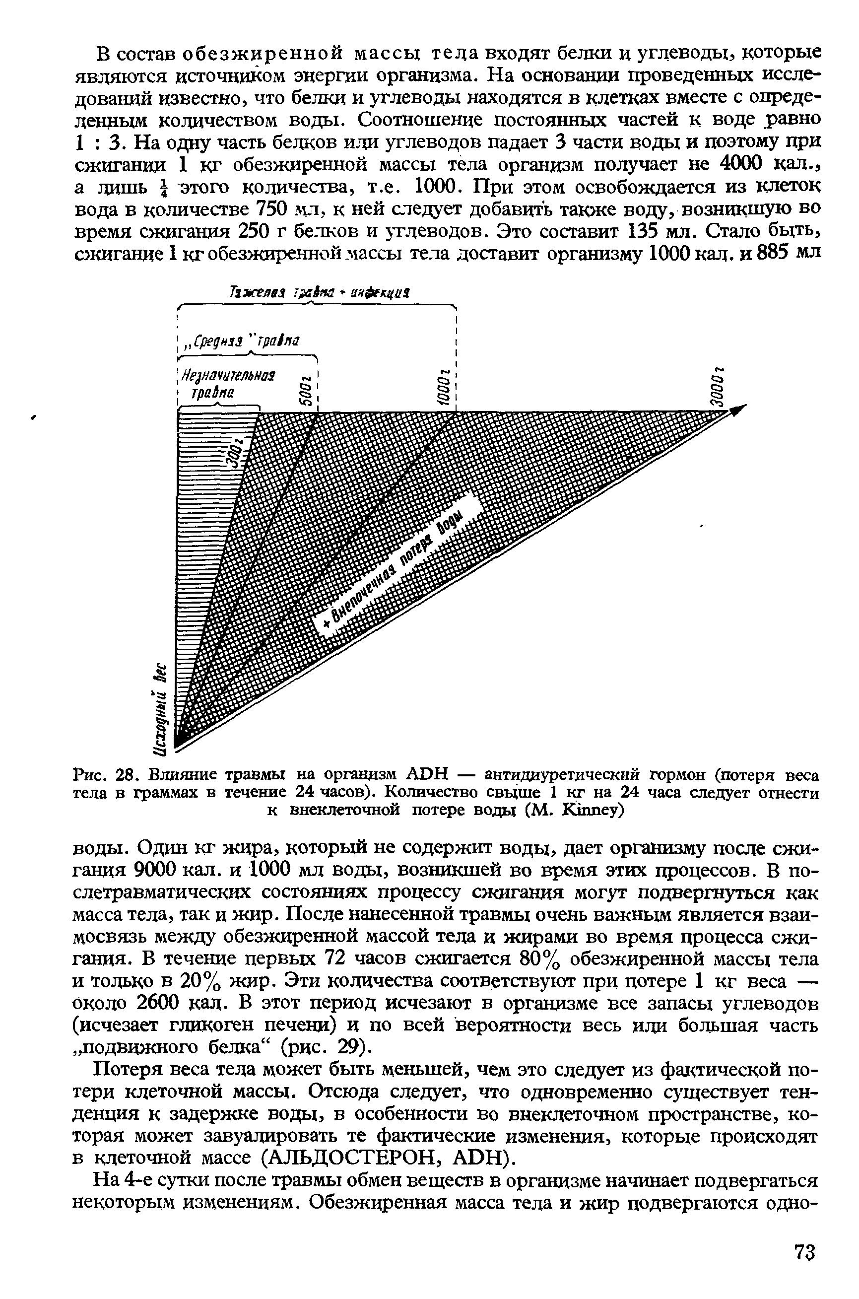 Рис. 28. Влияние травмы на организм АОН — антидиуретдческий гормон (потеря веса тела в граммах в течение 24 часов). Количество свыше 1 кг на 24 часа следует отнести к внеклеточной потере воды (М. Ктпеу)...