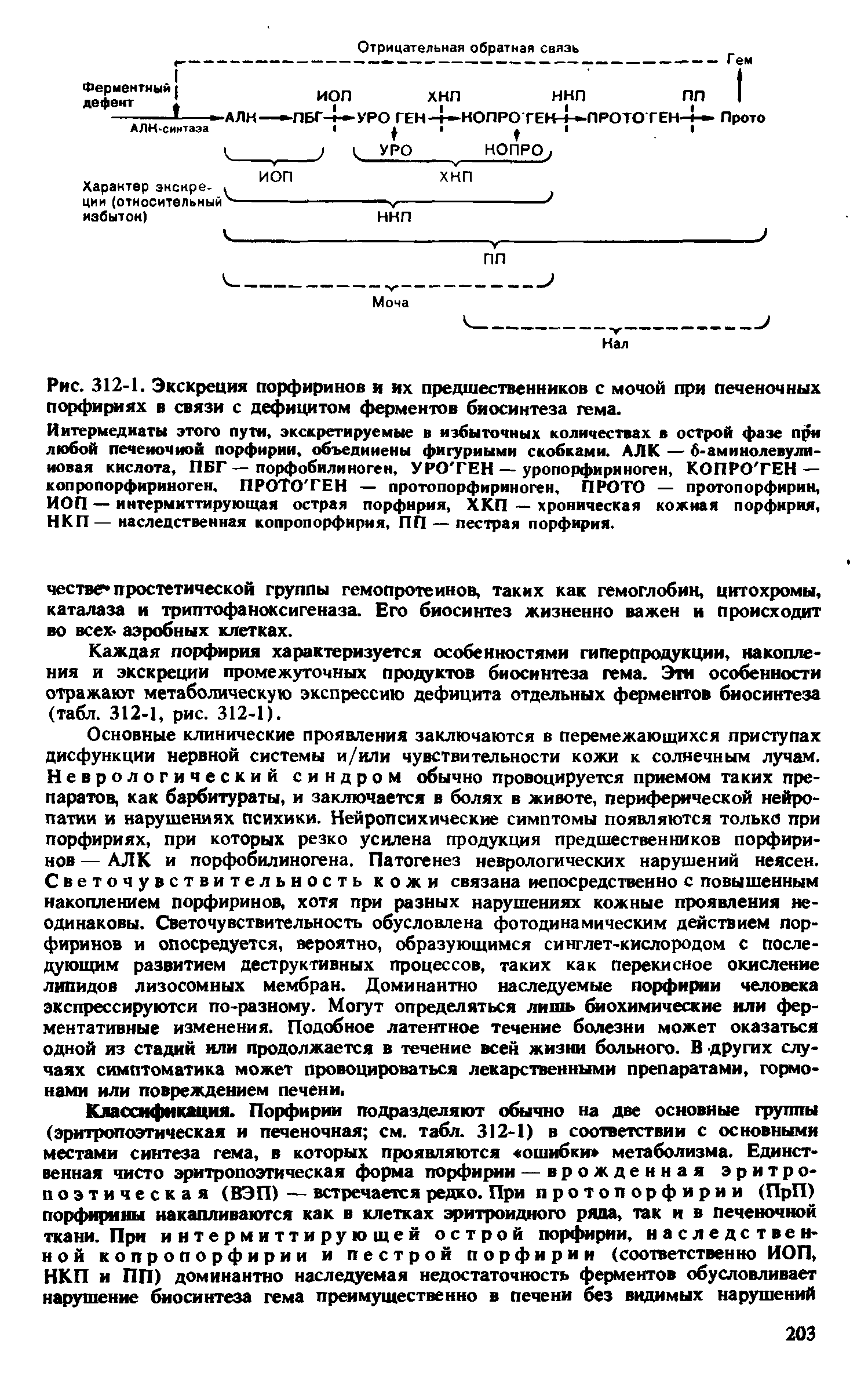 Рис. 312-1. Экскреция порфиринов и их предшественников с мочой при печеночных порфириях в связи с дефицитом ферментов биосинтеза гема.