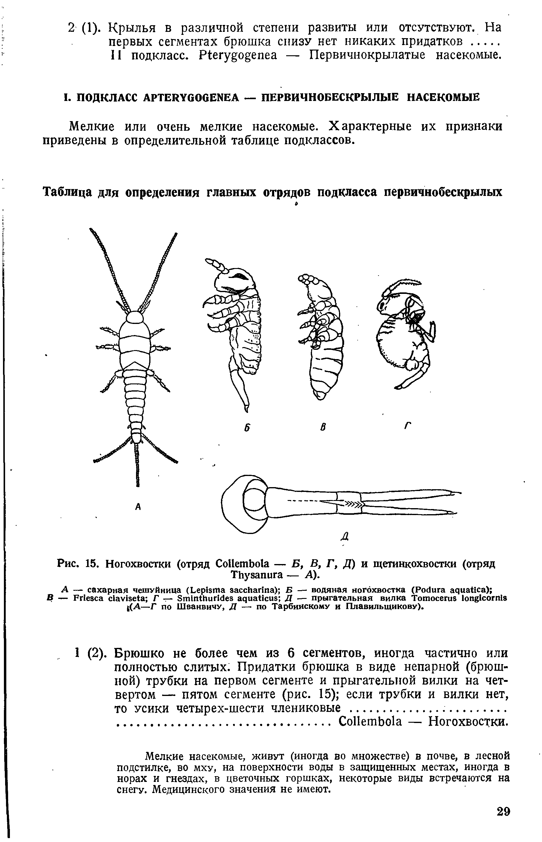 Рис. 15. Ногохвостки (отряд C — Б, В, Г, Д) и щетинкохвостки (отряд T — А).