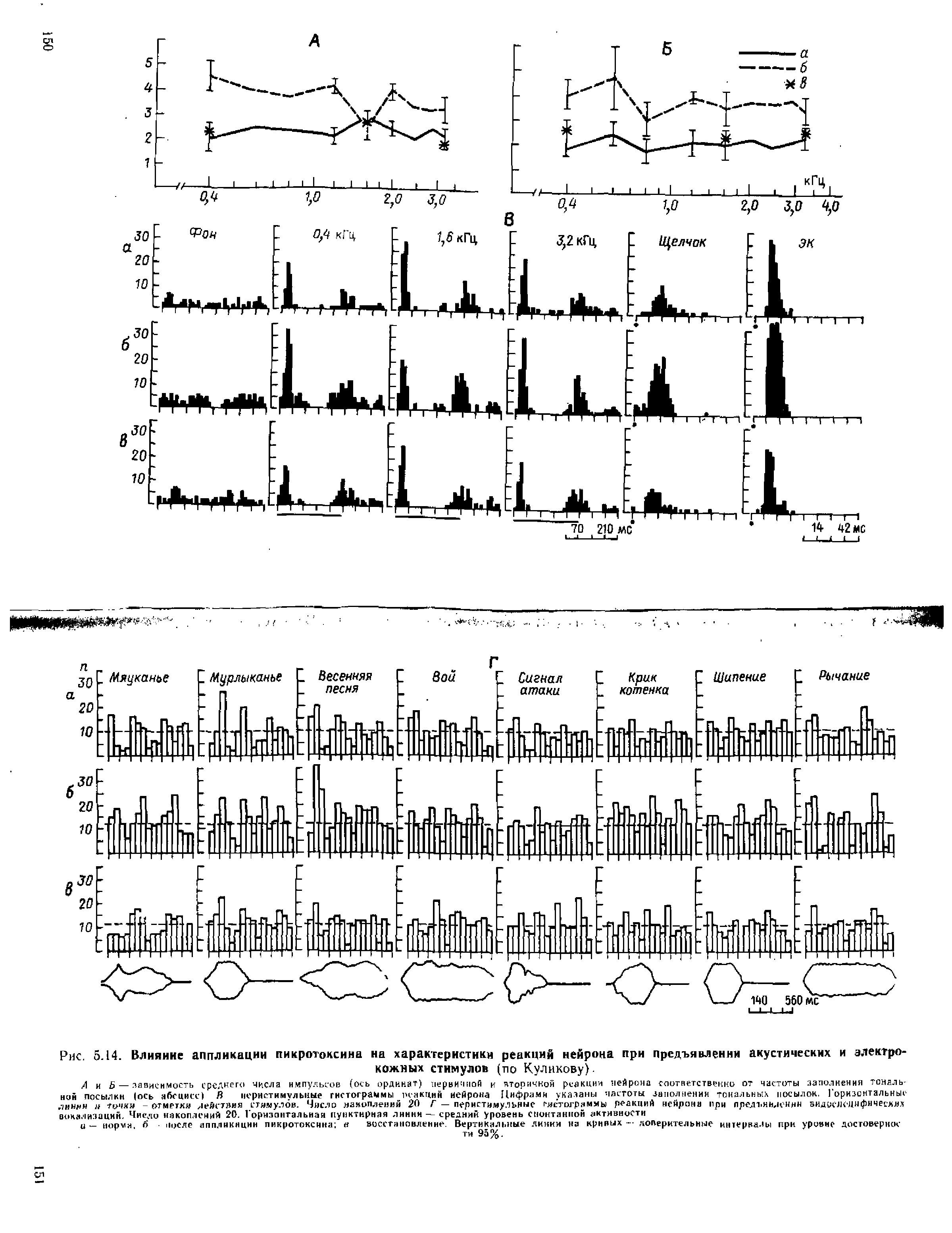 Рис. 5.14. Влияние аппликации пикротоксина на характеристики реакций нейрона при предъявлении акустических и электро-кожных стимулов (по Куликову).