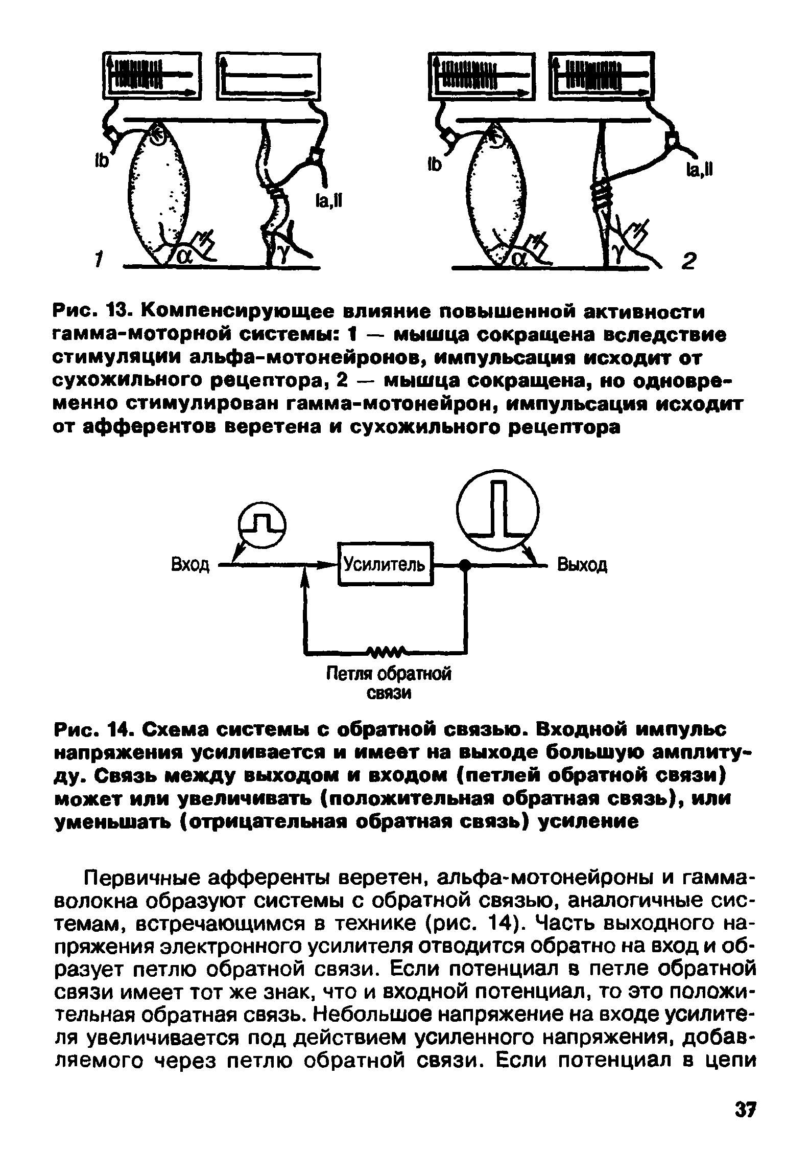 Рис. 14. Схема системы с обратной связью. Входной импульс напряжения усиливается и имеет на выходе большую амплитуду. Связь между выходом и входом (петлей обратной связи) может или увеличивать (положительная обратная связь), или уменьшать (отрицательная обратная связь) усиление...