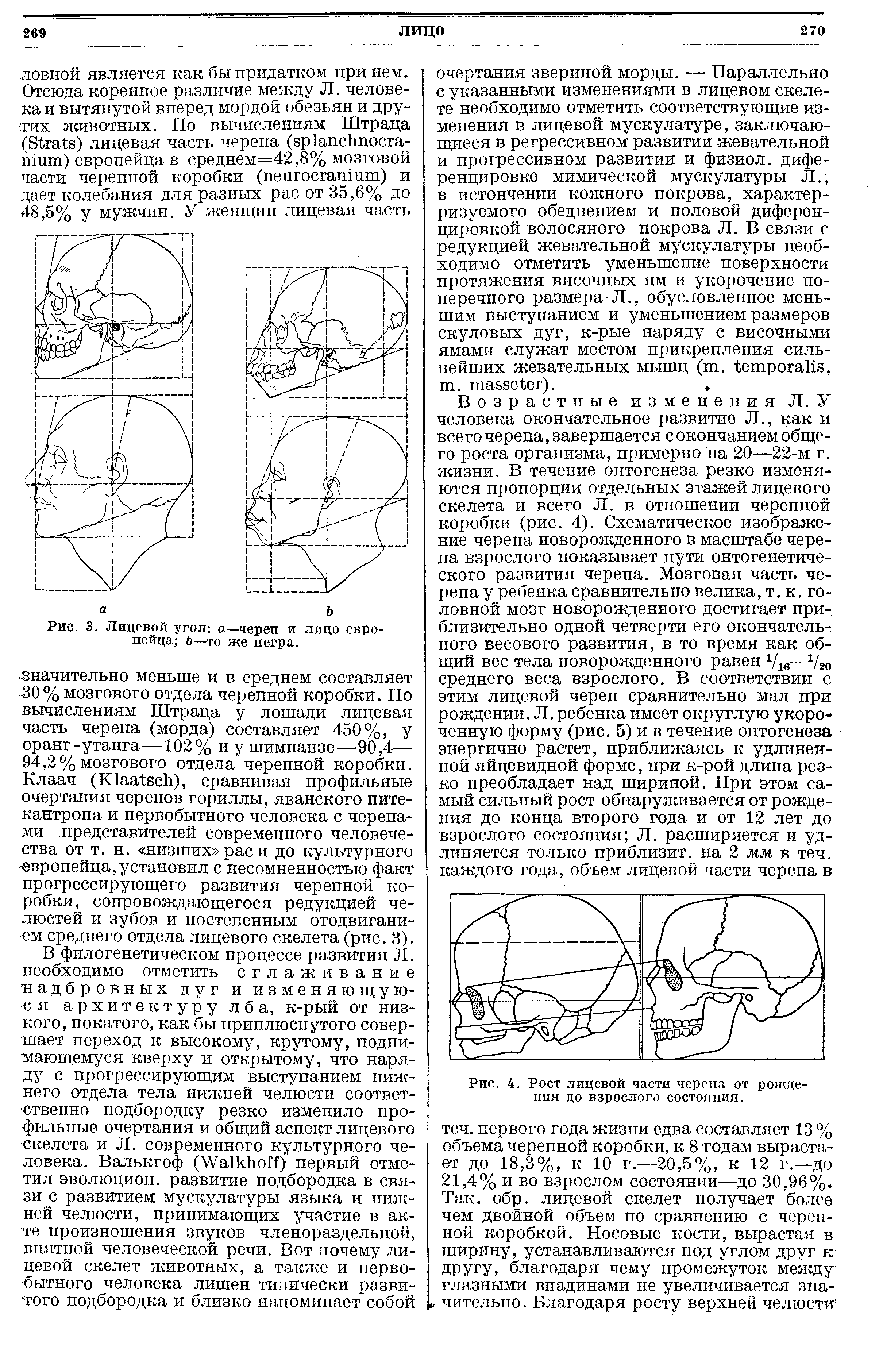 Рис. 3. Лицевой угол а—череп и лицо европейца Ь—то же негра.