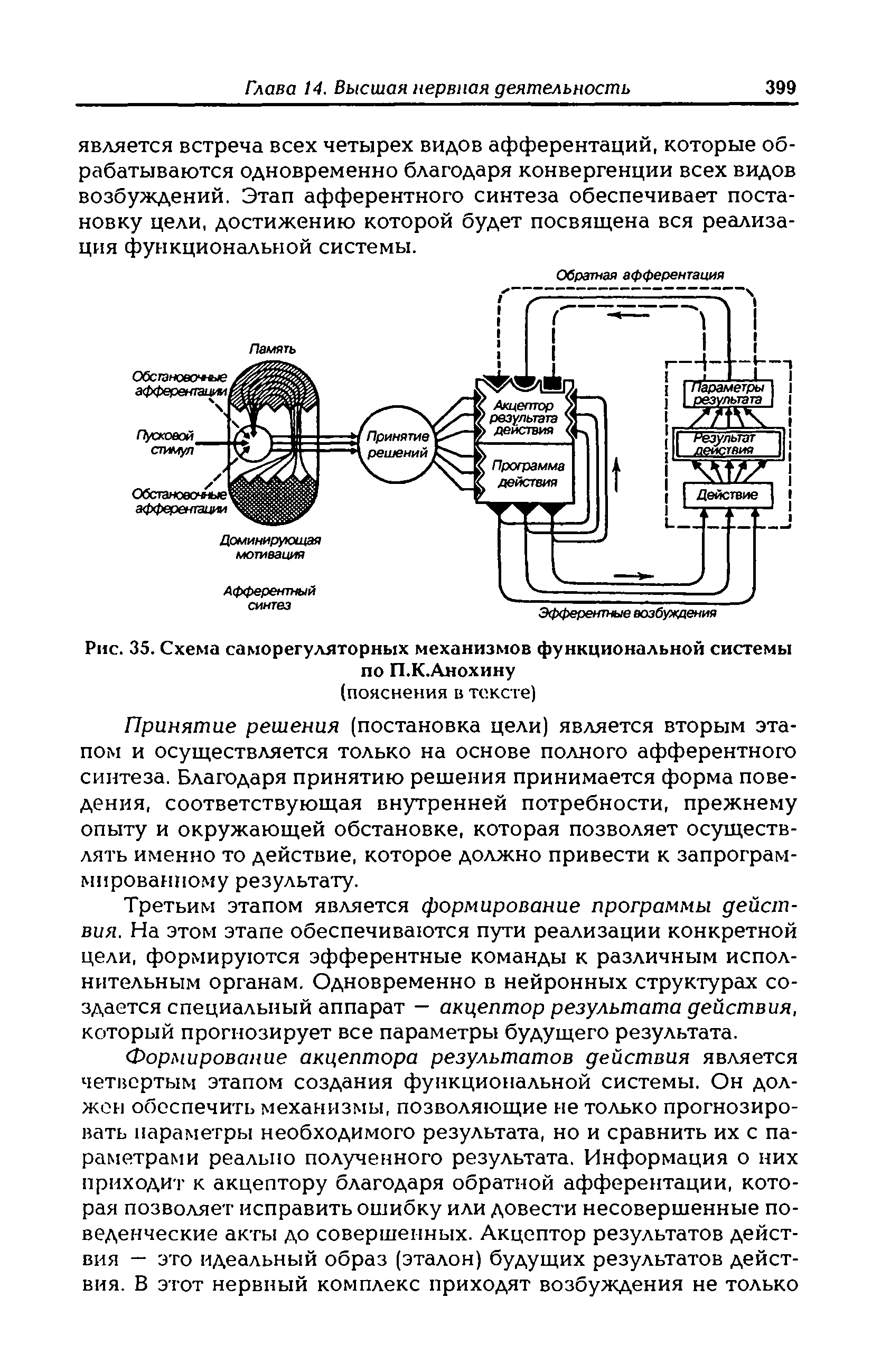 Рис. 35. Схема саморегуляторных механизмов функциональной системы по П.К.Анохину...