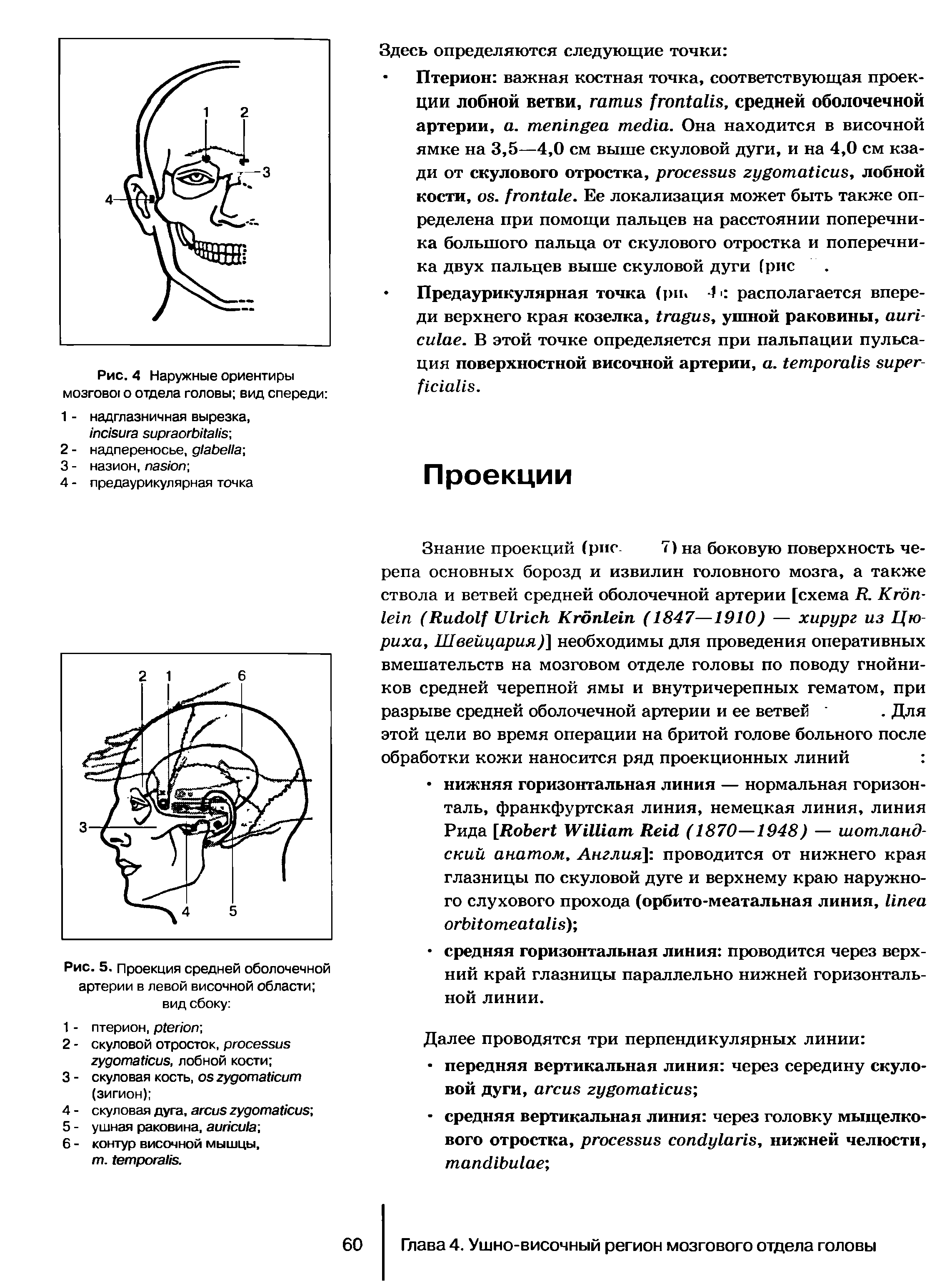 Рис. 4 Наружные ориентиры мозгово о отдела головы вид спереди ...