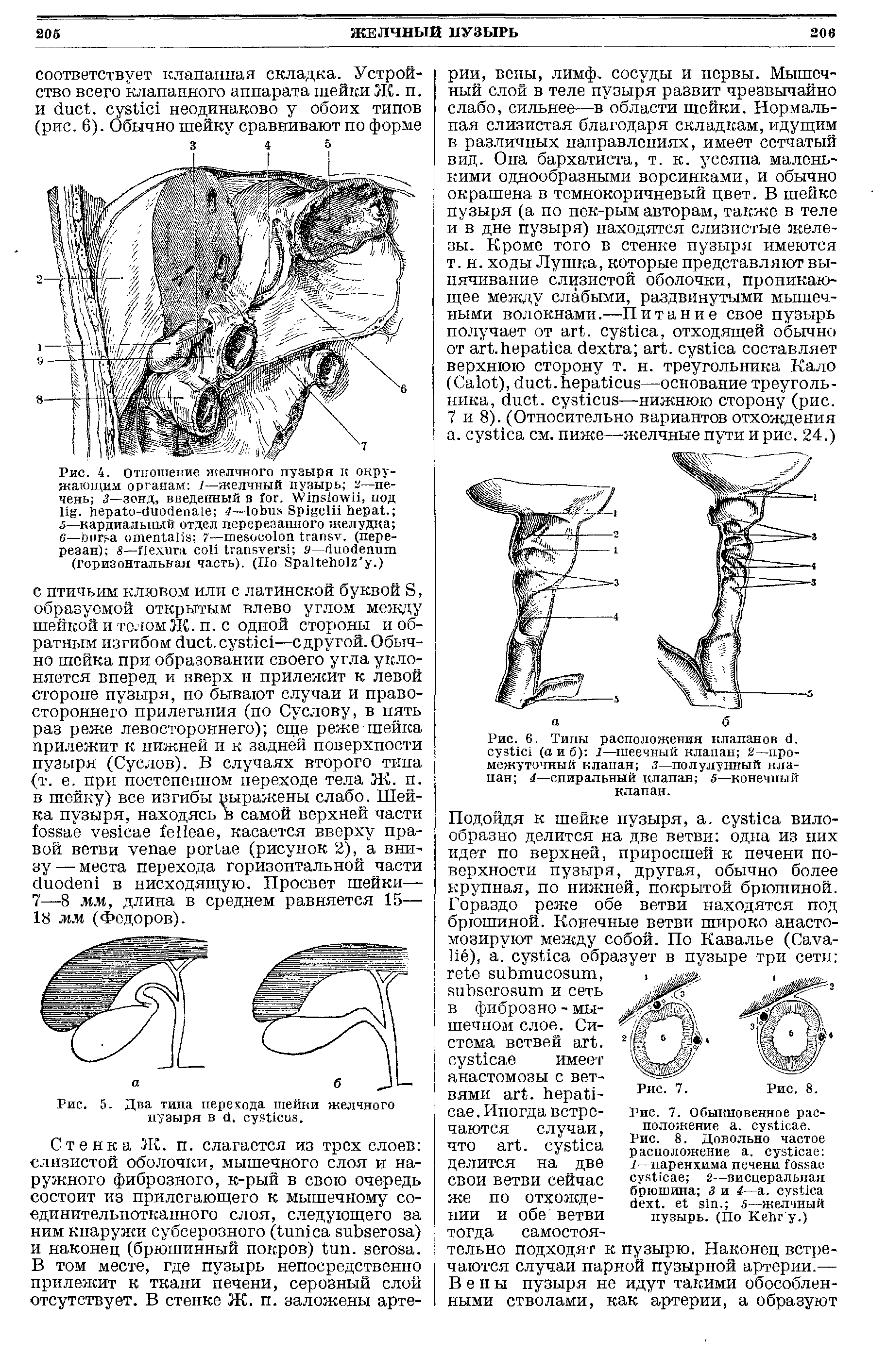 Рис. 6. Типы расположения клапанов б. суй с (а и б) I—шеечный клапан 2—промежуточный клапан з—полулунный клапан 4—спиральный клапан 5—конечный клапан.