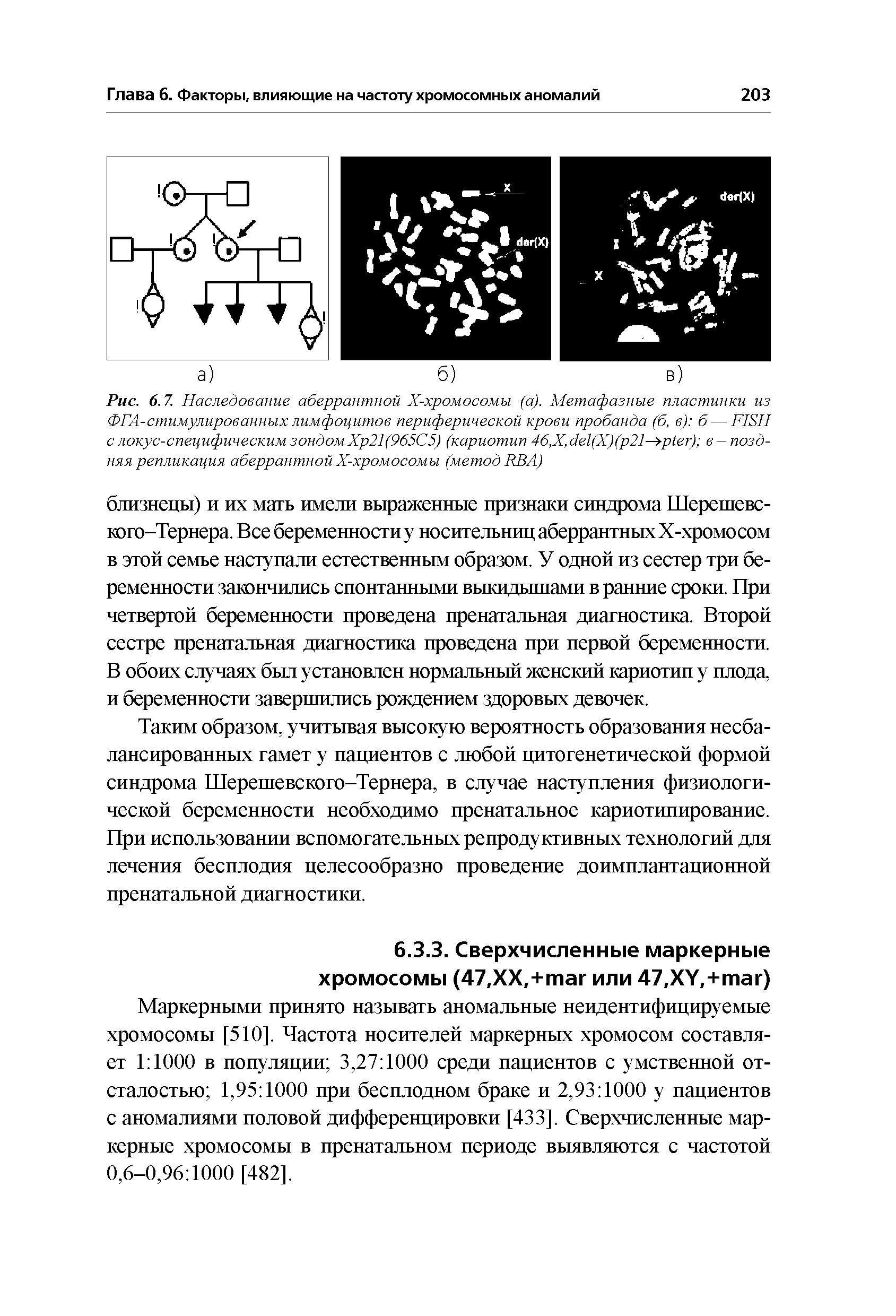 Рис. 6.7. Наследование аберрантной Х-хромосомы (а). Метафазные пластинки из ФГА-стимулированныхлимфоцитов периферической крови пробанда (б, в) б — FISH с локус-специфическим зондом Хр21(965С5) (кариотип 46,X, (X)( 21 ) в — поздняя репликация аберрантной Х-хромосомы (метод RBA)...