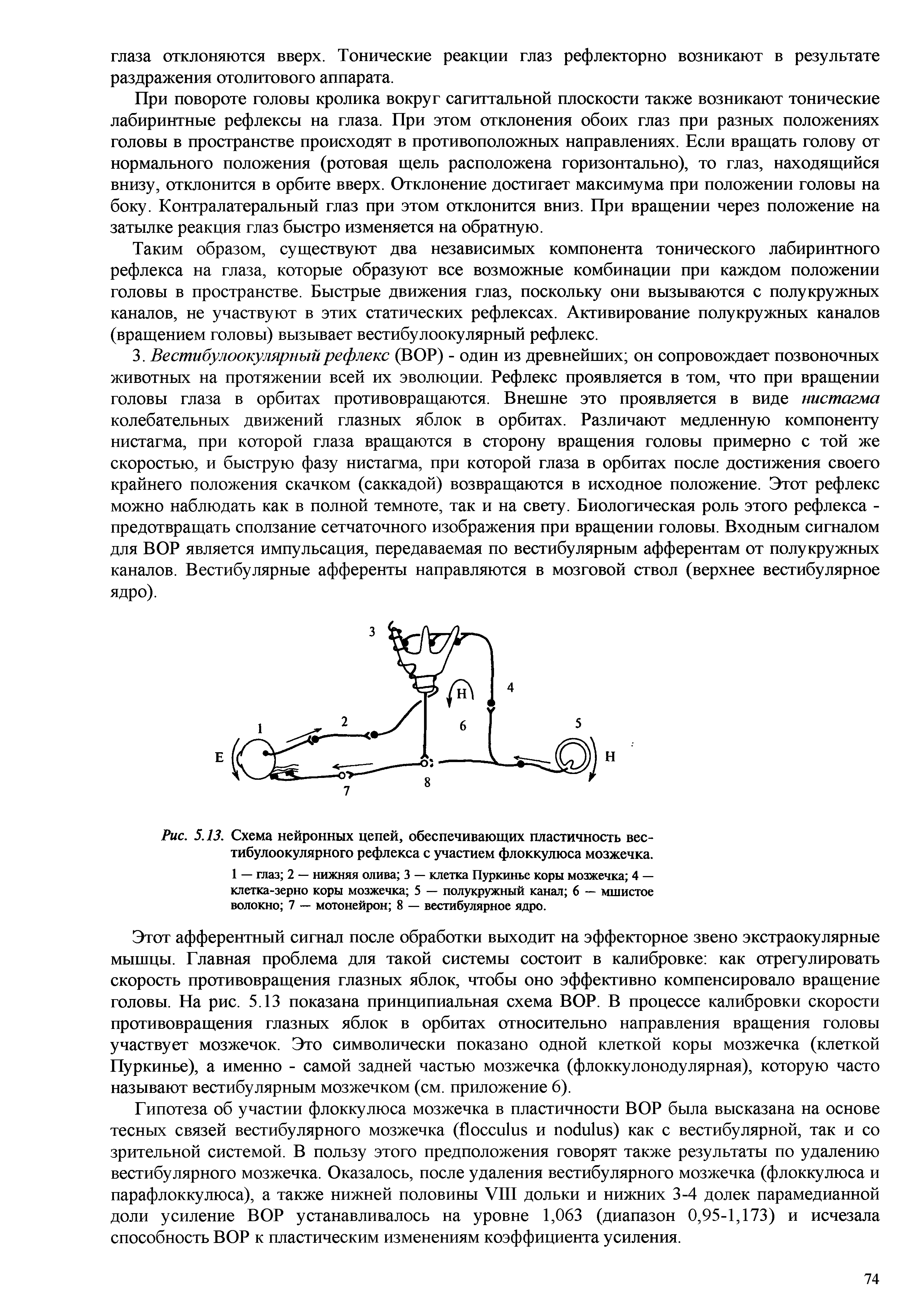 Рис. 5.13. Схема нейронных цепей, обеспечивающих пластичность вестибулоокулярного рефлекса с участием флоккулюса мозжечка.