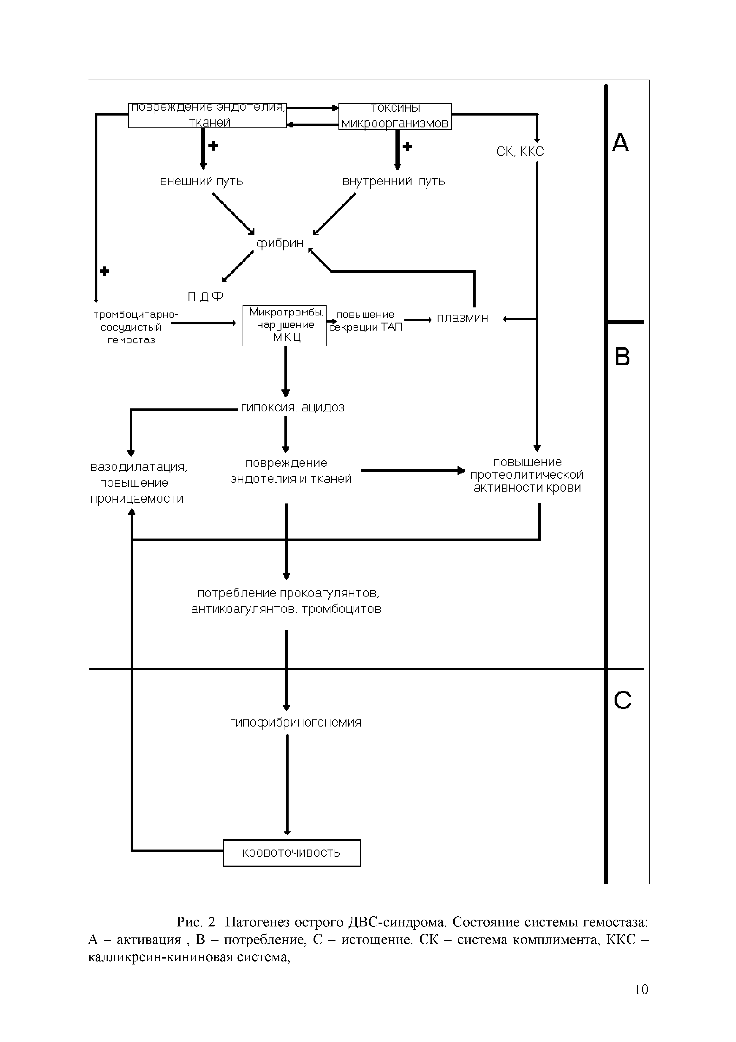 Рис. 2 Патогенез острого ДВС-синдрома. Состояние системы гемостаза А - активация, В - потребление, С - истощение. СК - система комплимента, ККС -калликреин-кининовая система,...