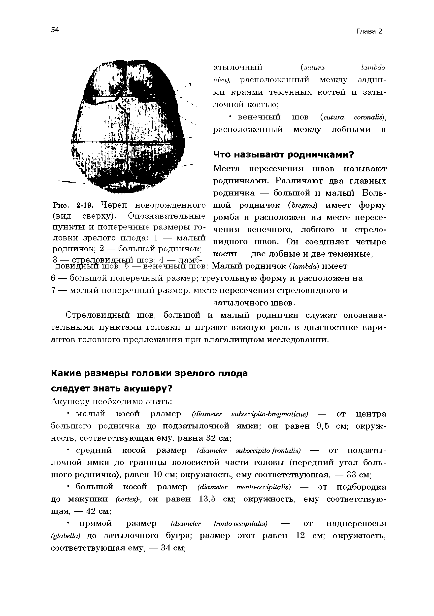 Рис. 2-19. Череп новорожденного (вид сверху). Опознавательные пункты и поперечные размеры головки зрелого плода 1 — малый родничок 2 — большой родничок ...