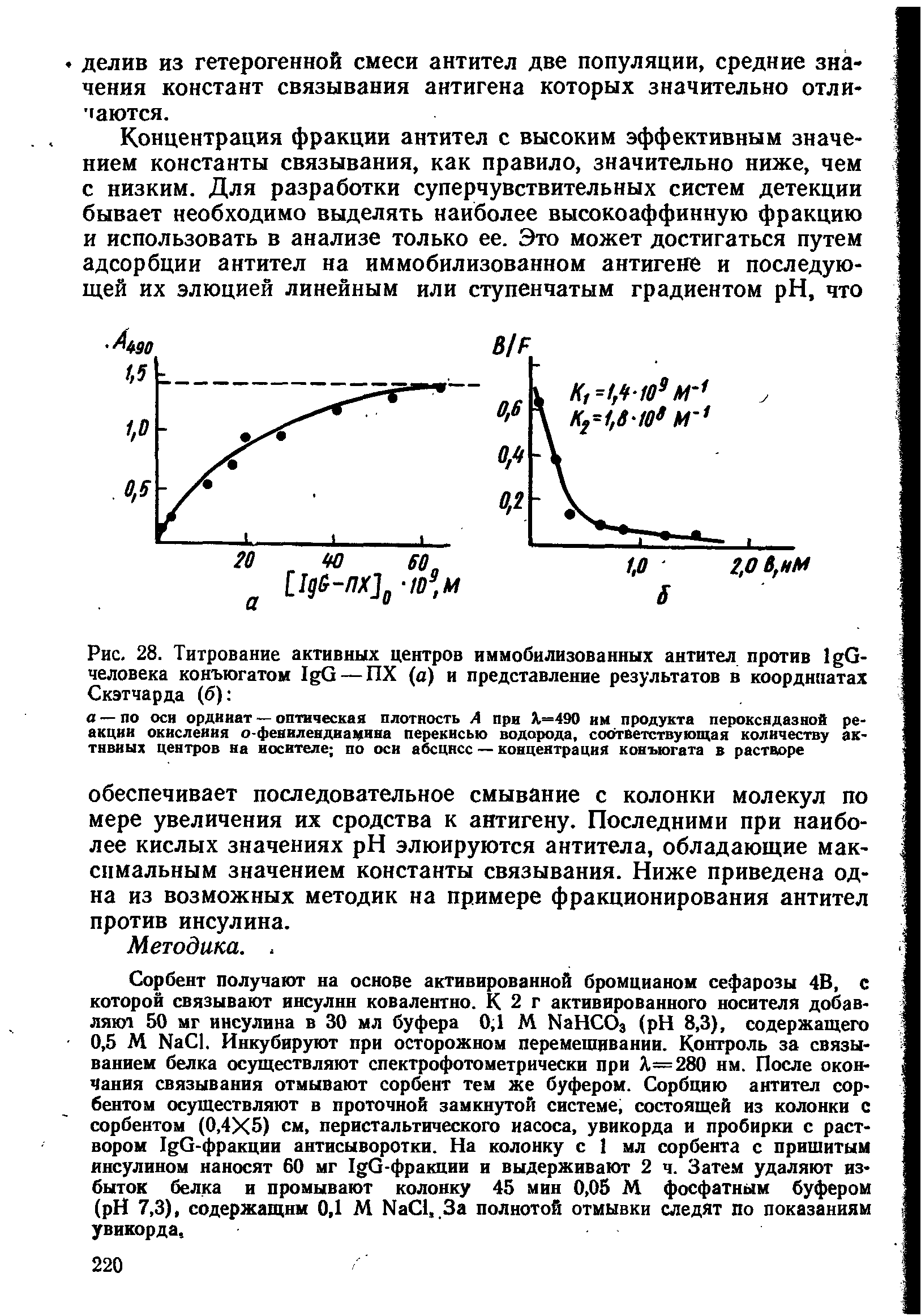 Рис. 28. Титрование активных центров иммобилизованных антител против I G-человека конъюгатом I G — ПХ (а) и представление результатов в координатах Скэтчарда (б) ...