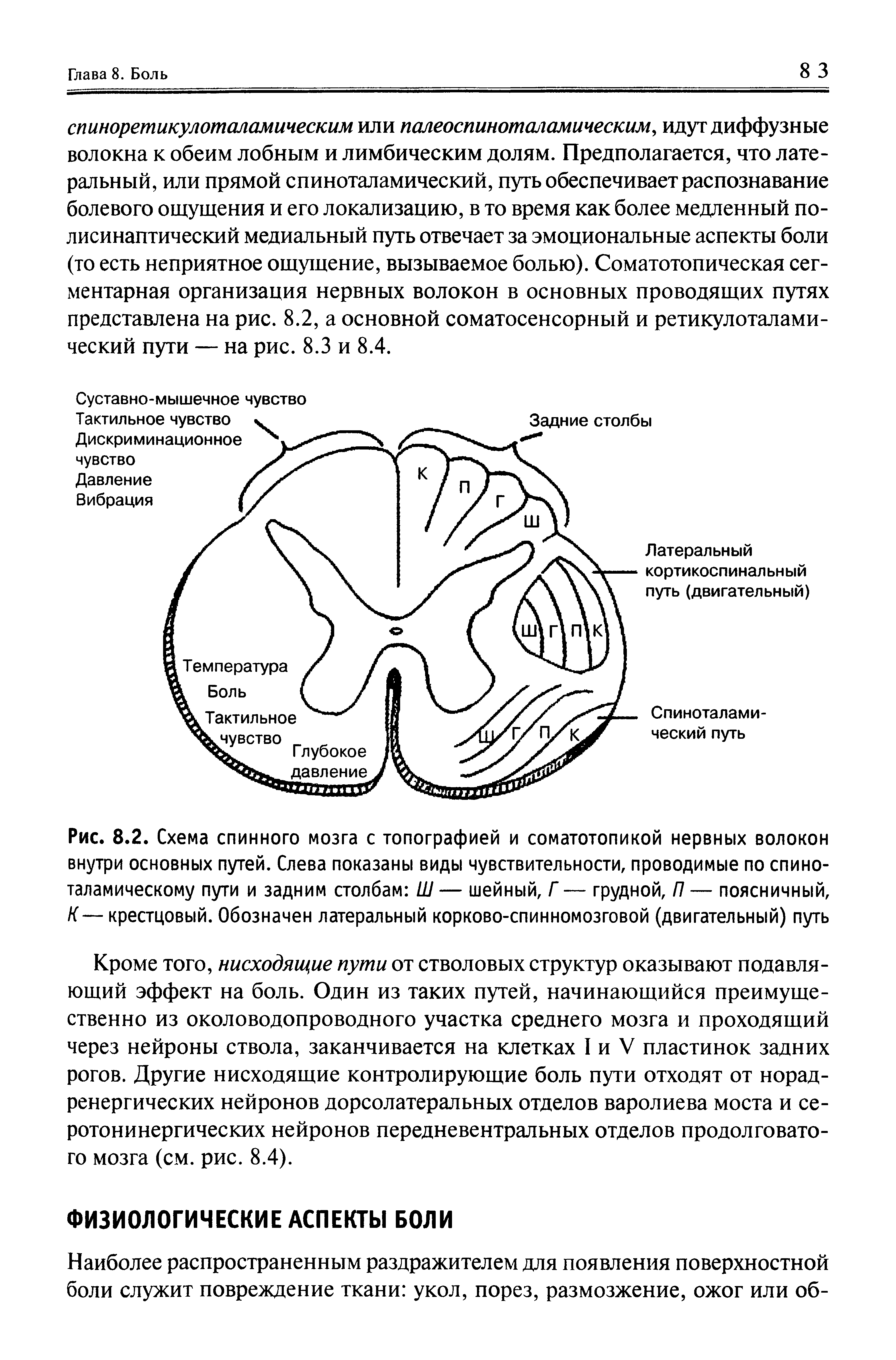 Рис. 8.2. Схема спинного мозга с топографией и соматотопикой нервных волокон внутри основных путей. Слева показаны виды чувствительности, проводимые по спиноталамическому пути и задним столбам Ш— шейный, Г — грудной, П— поясничный, К— крестцовый. Обозначен латеральный корково-спинномозговой (двигательный) путь...