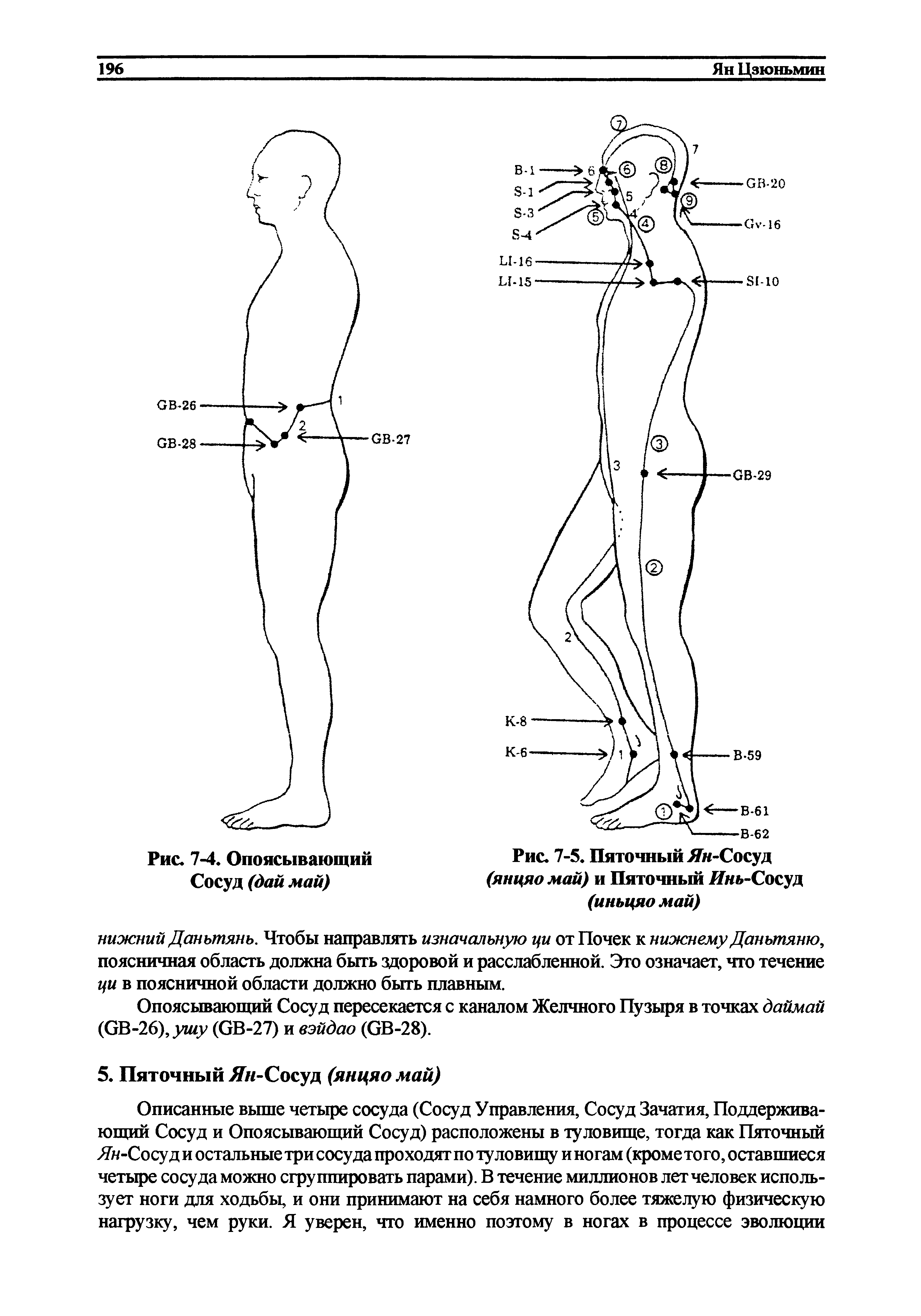 Рис. 7-5. Пяточный Яя-Сосуд (янцяо май) и Пяточный Ияь-Сосуд (инъцяомай)...
