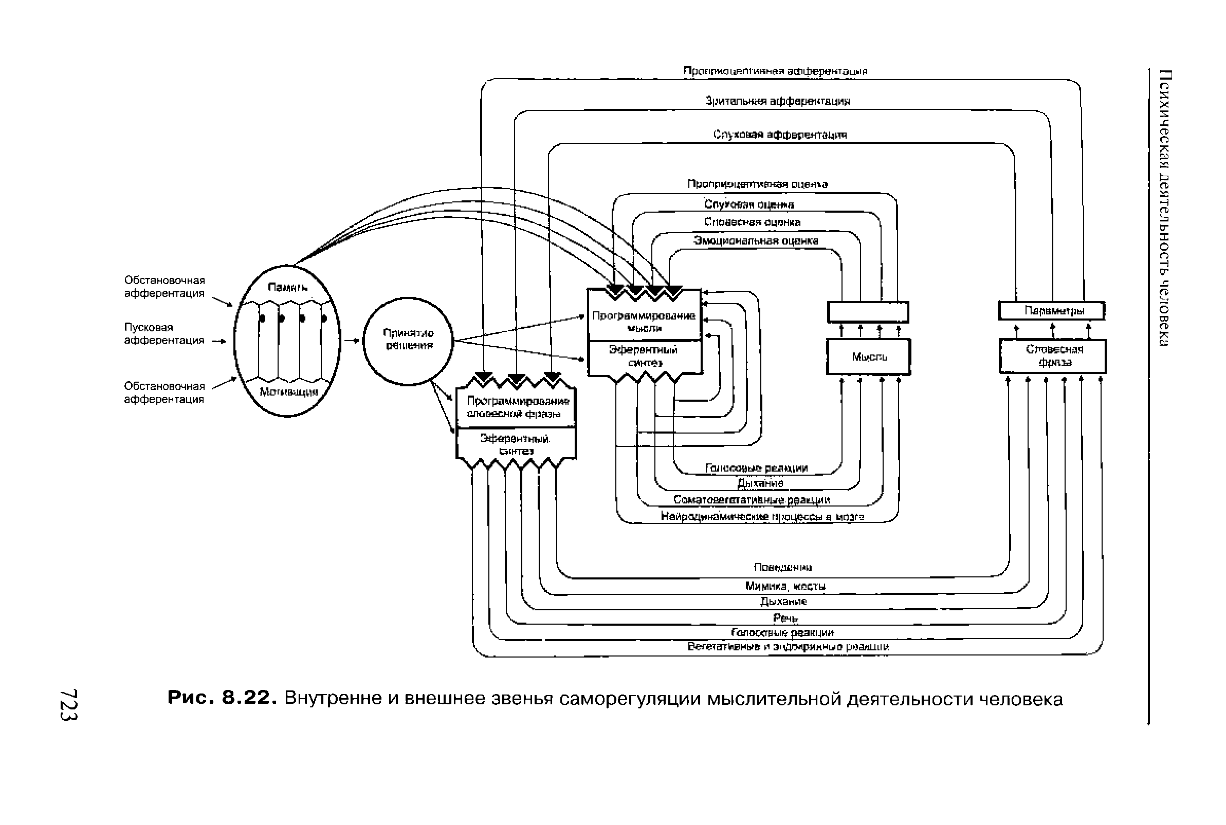 Рис. 8.22. Внутренне и внешнее звенья саморегуляции мыслительной деятельности человека...
