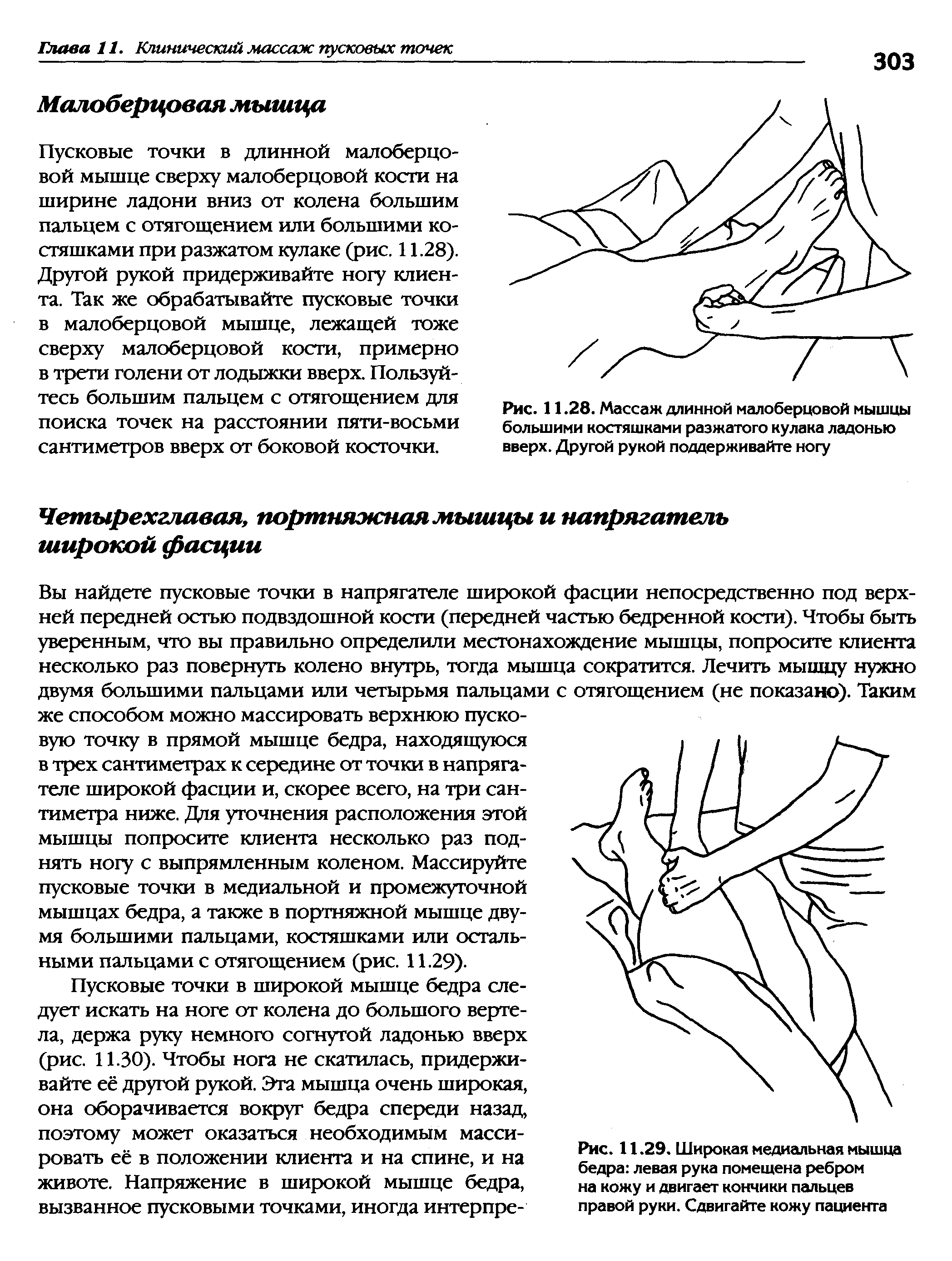 Рис. 11.29. Широкая медиальная мышца бедра левая рука помещена ребром на кожу и двигает кончики пальцев правой руки. Сдвигайте кожу пациента...