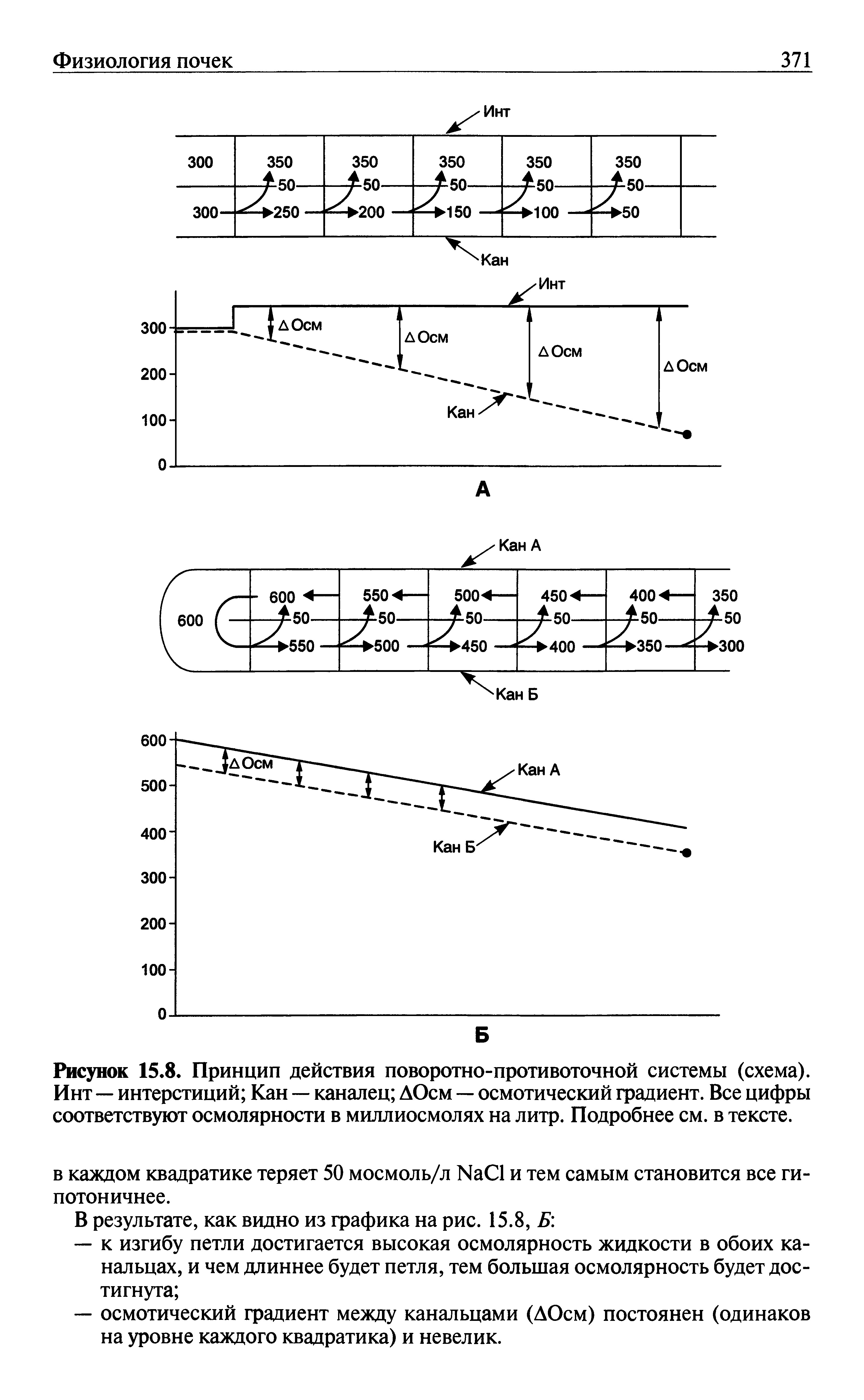 Рисунок 15.8. Принцип действия поворотно-противоточной системы (схема). Инт — интерстиций Кан — каналец ДОсм — осмотический градиент. Все цифры соответствуют осмолярности в миллиосмолях на литр. Подробнее см. в тексте.