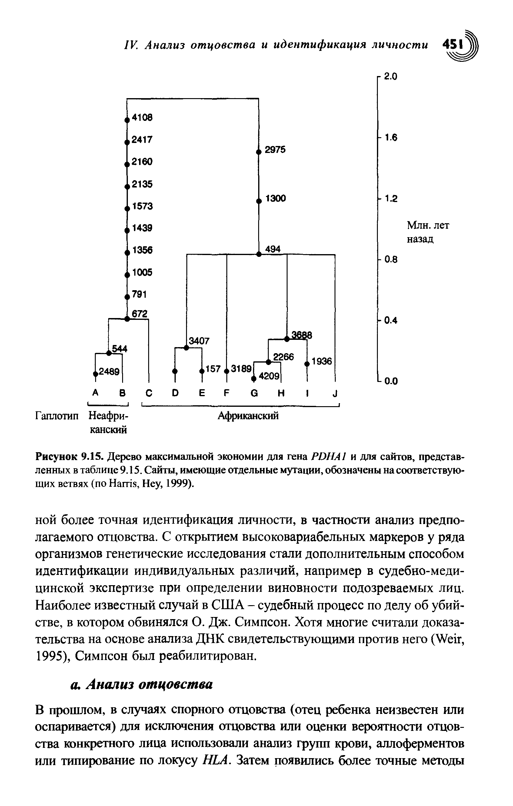 Рисунок 9.15. Дерево максимальной экономии для гена PDHA1 и для сайтов, представленных в таблице 9.15. Сайты, имеющие отдельные мутации, обозначены на соответствующих ветвях (по H , Неу, 1999).