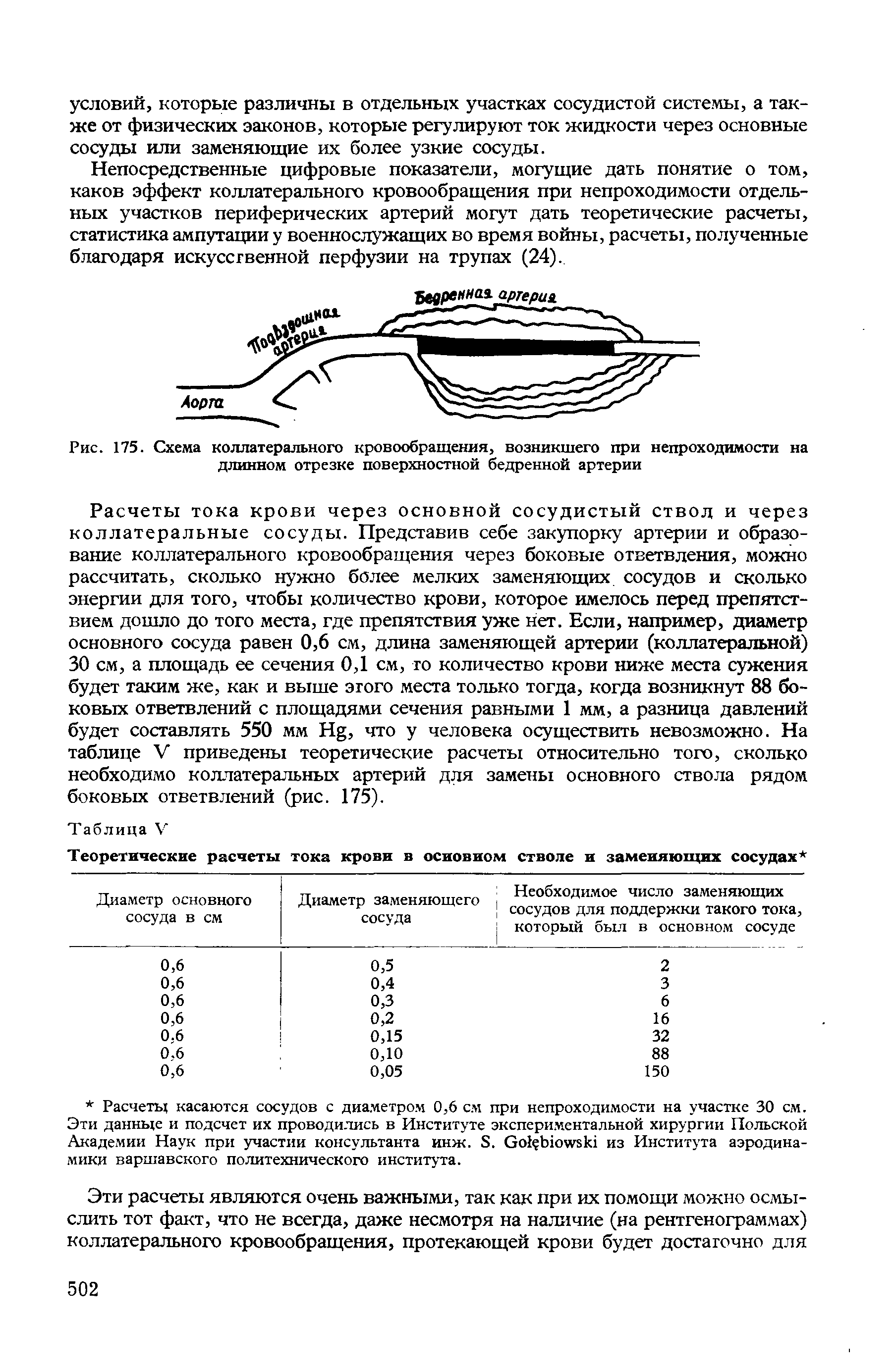 Рис. 175. Схема коллатерального кровообращения, возникшего при непроходимости на длинном отрезке поверхностной бедренной артерии...