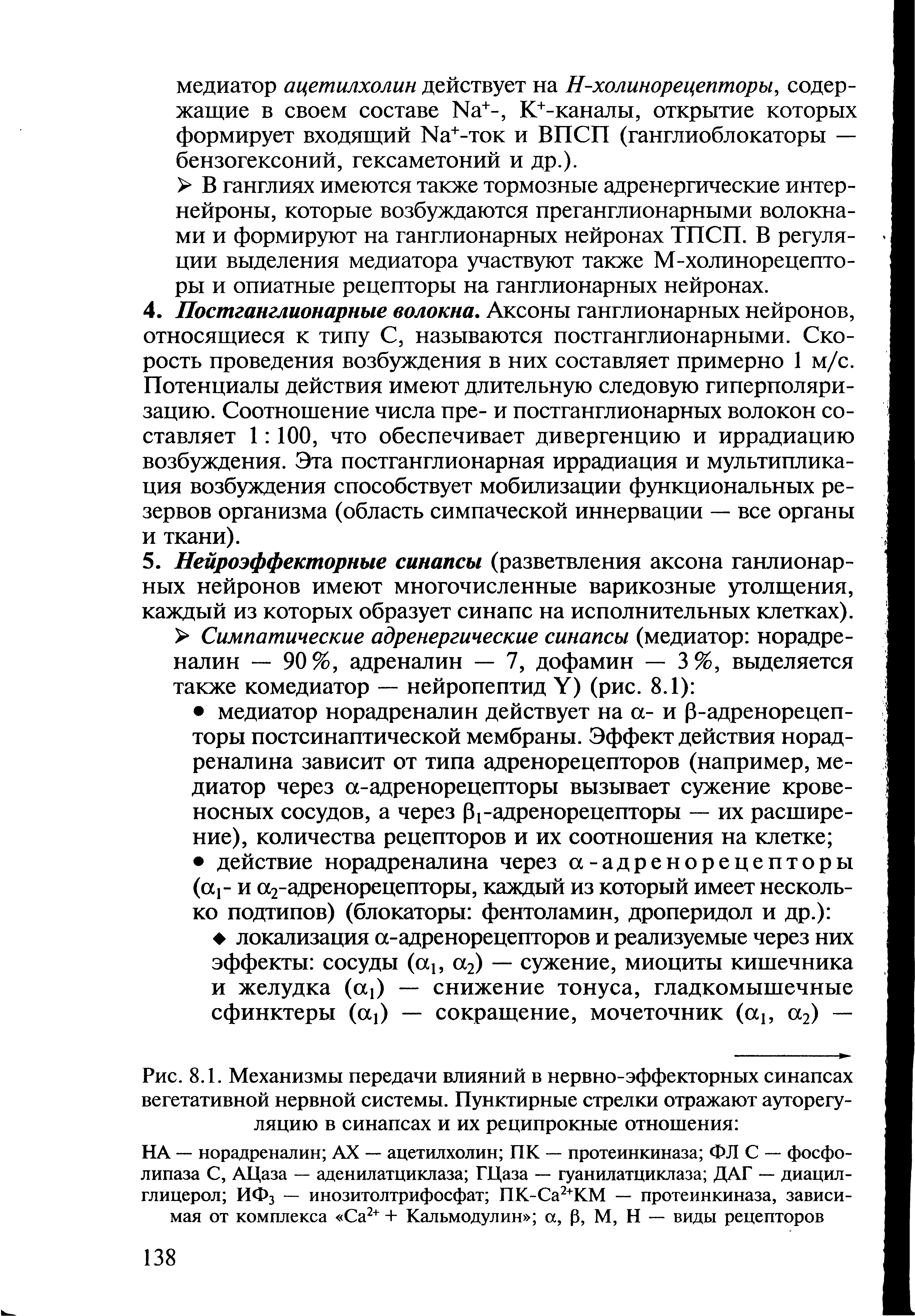 Рис. 8.1. Механизмы передачи влияний в нервно-эффекторных синапсах вегетативной нервной системы. Пунктирные стрелки отражают ауторегуляцию в синапсах и их реципрокные отношения ...