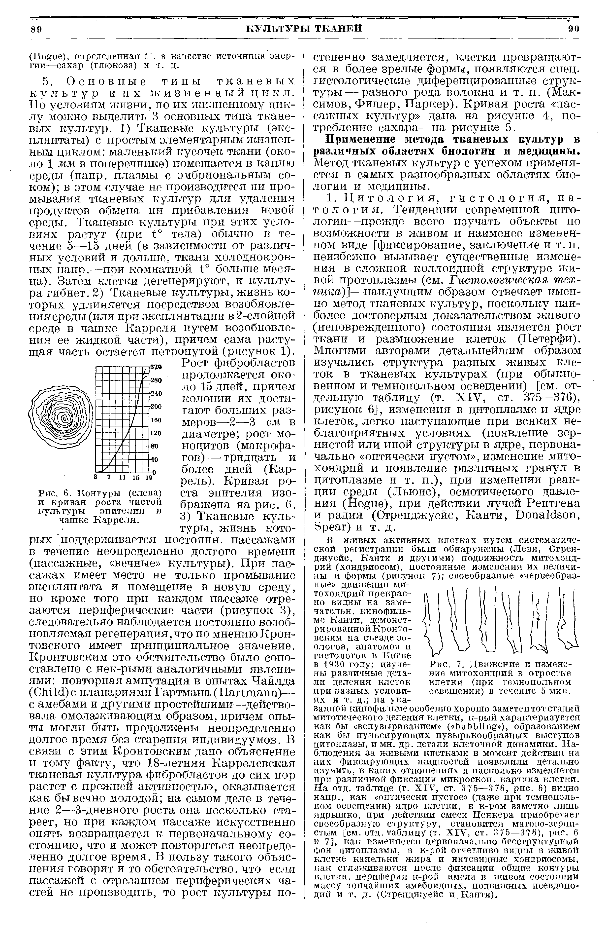 Рис. 6. Контуры (слева) и кривая роста чистой культуры эпителия в чашке Карреля.