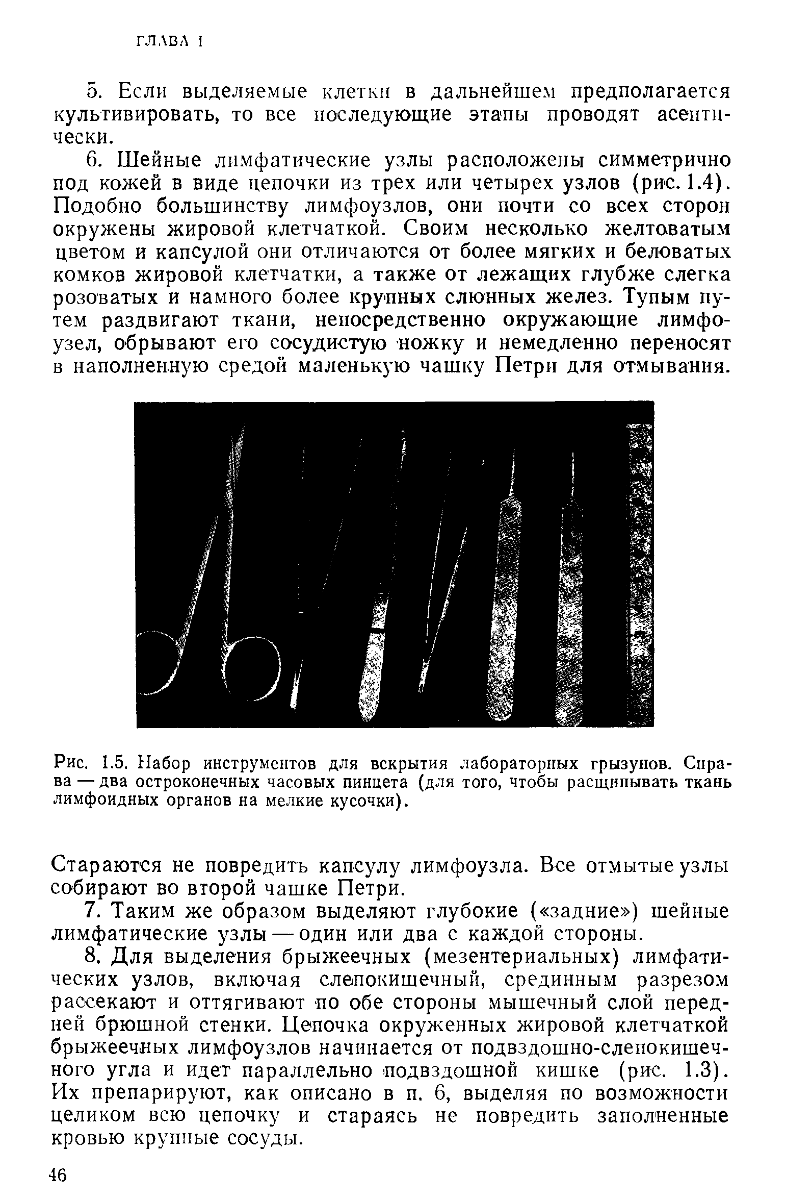 Рис. 1.5. Набор инструментов для вскрытия лабораторных грызунов. Справа — два остроконечных часовых пинцета (для того, чтобы расщипывать ткань лимфоидных органов на мелкие кусочки).