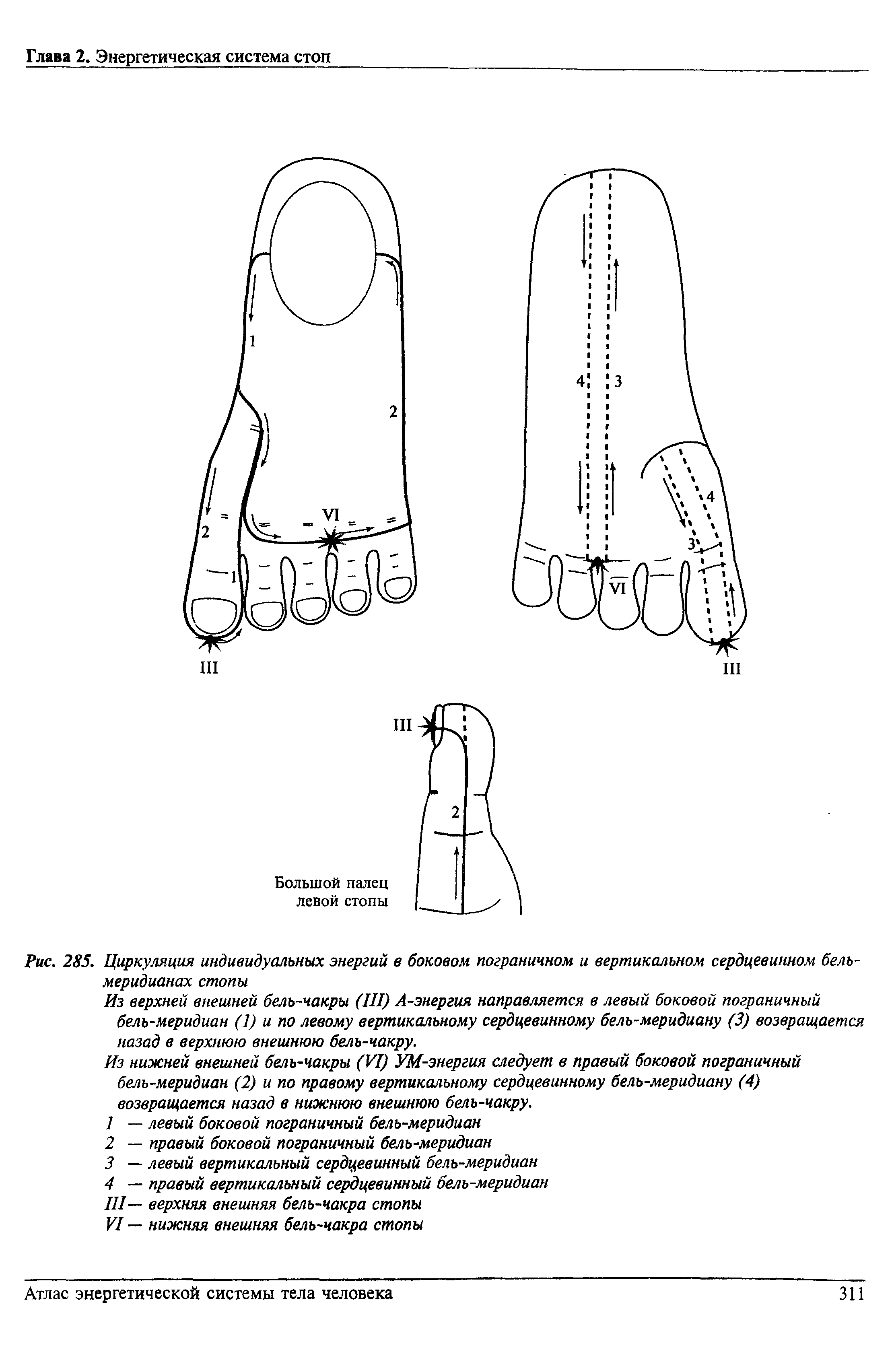 Рис. 285. Циркуляция индивидуальных энергий в боковом пограничном и вертикальном сердцевинном бель-меридианах стопы...