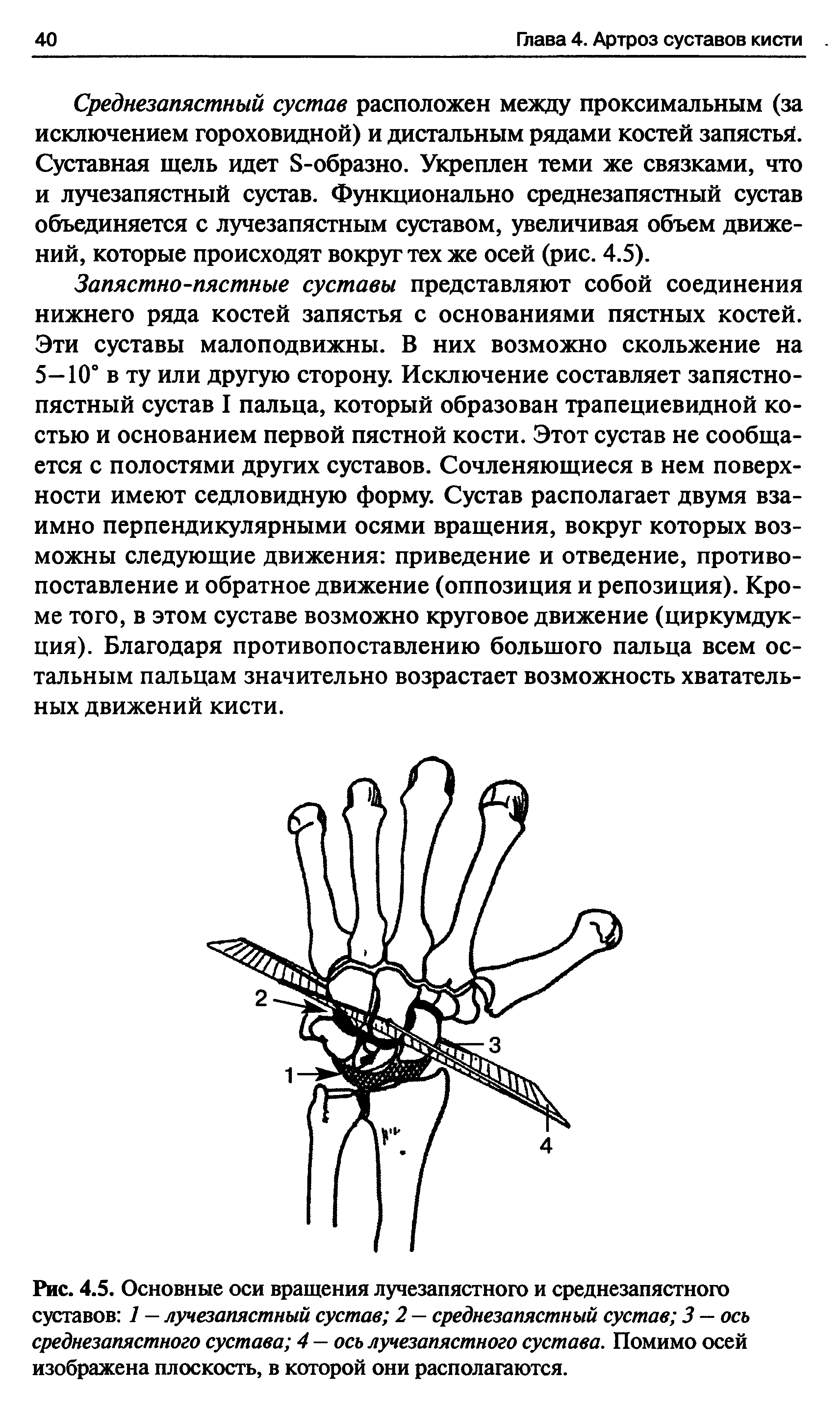 Рис. 4.5. Основные оси вращения лучезапястного и среднезапястного суставов 1 — лучезапястный сустав 2 — среднезапястный сустав 3 — ось среднезапястного сустава 4 — ось лучезапястного сустава. Помимо осей изображена плоскость, в которой они располагаются.