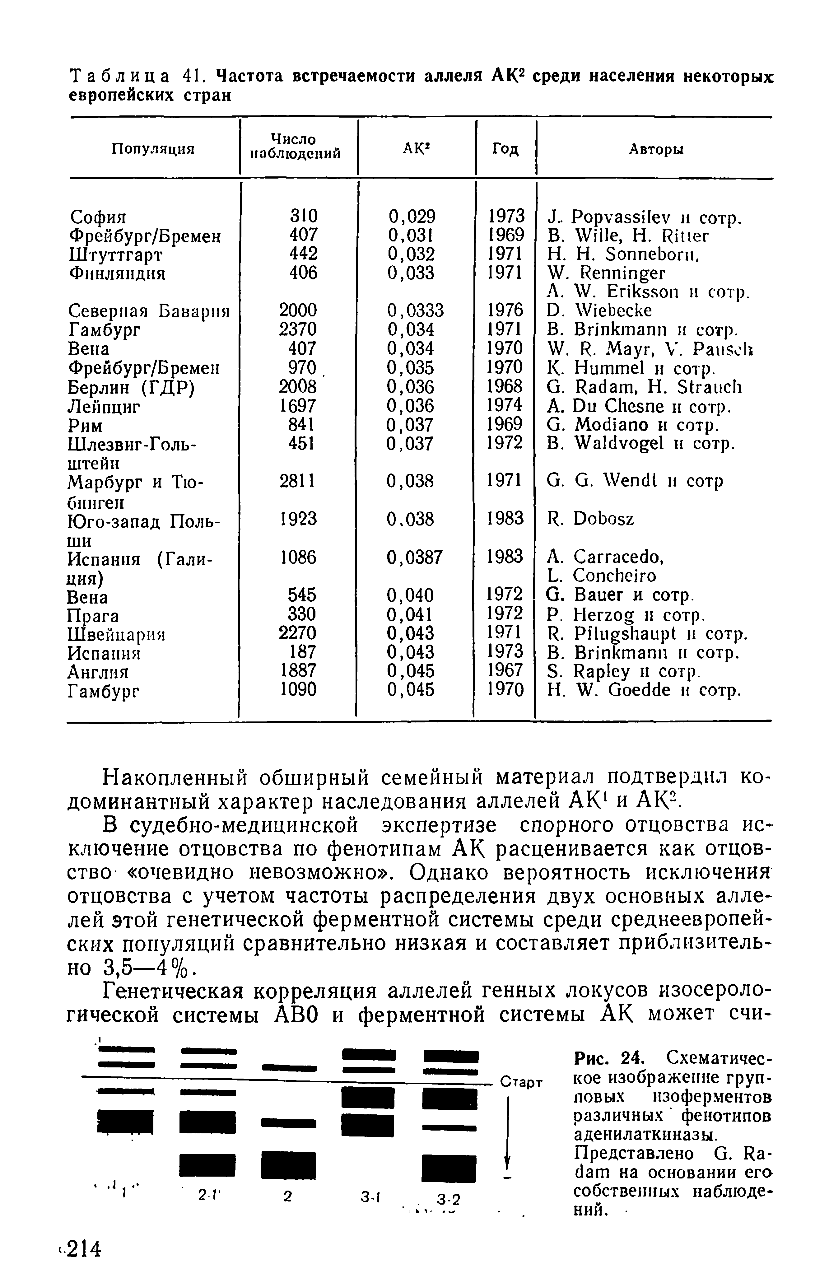 Рис. 24. Схематическое изображение групповых изоферментов различных фенотипов аденилаткиназы.