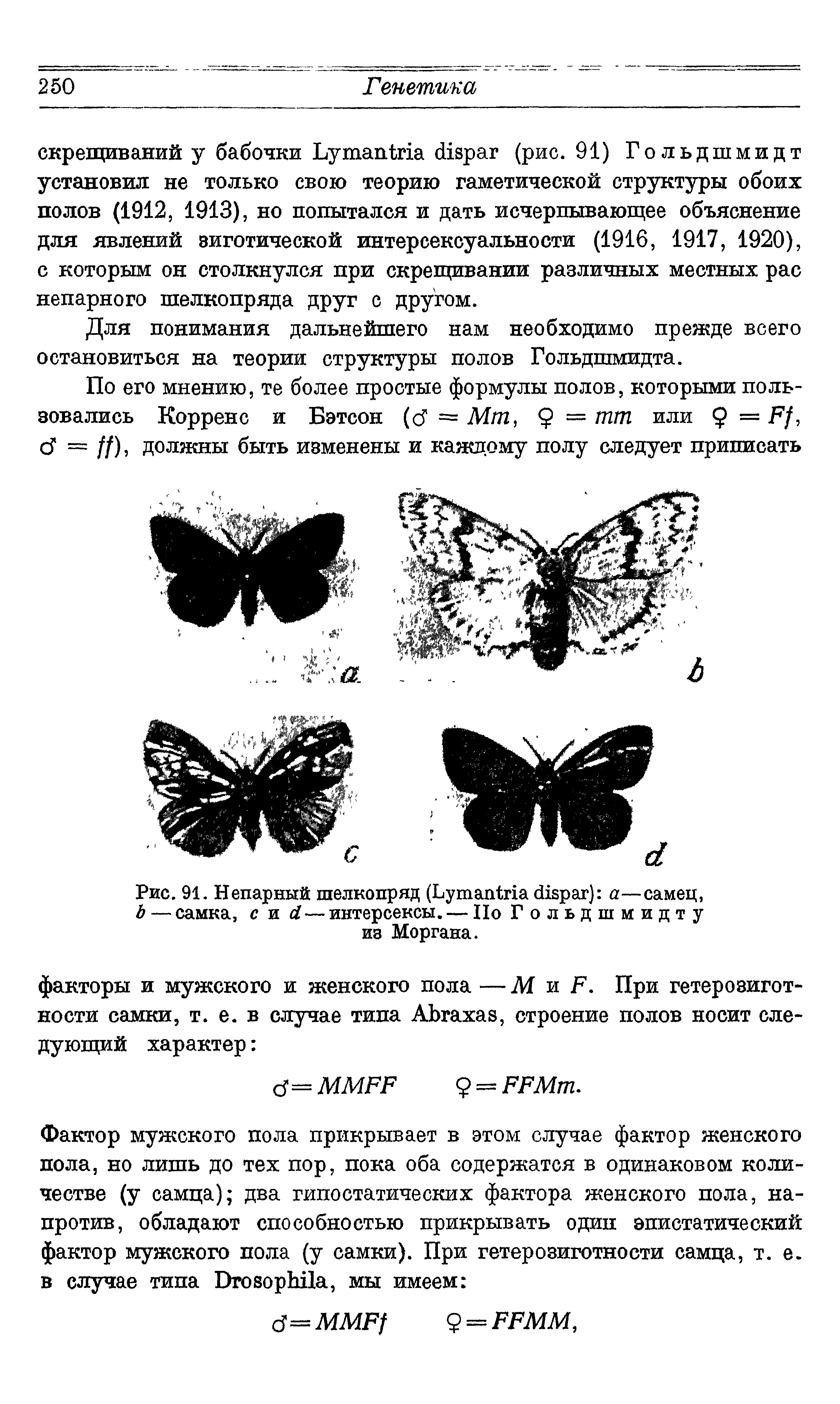 Рис. 91. Непарный шелкопряд (L ) а—самец, Ь — самка, с и —интерсексы. — По Гольдшмидту из Моргана.