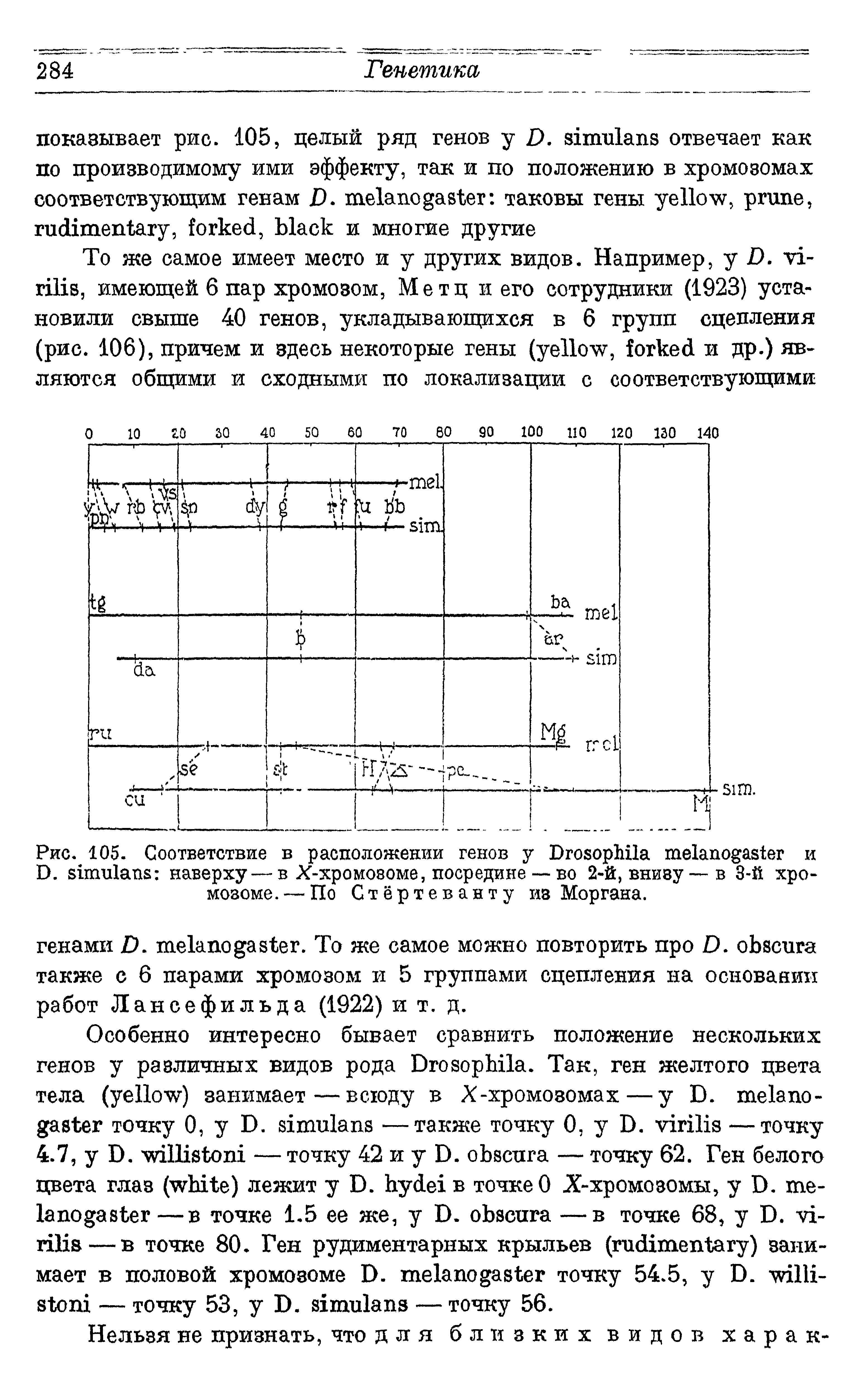 Рис. 105. Соответствие в расположении генов у D и D. наверху — в Х-хромовоме, посредине — во 2-й, внизу—в 3-й хро-мозоме. — По Стёртеваиту из Моргана.