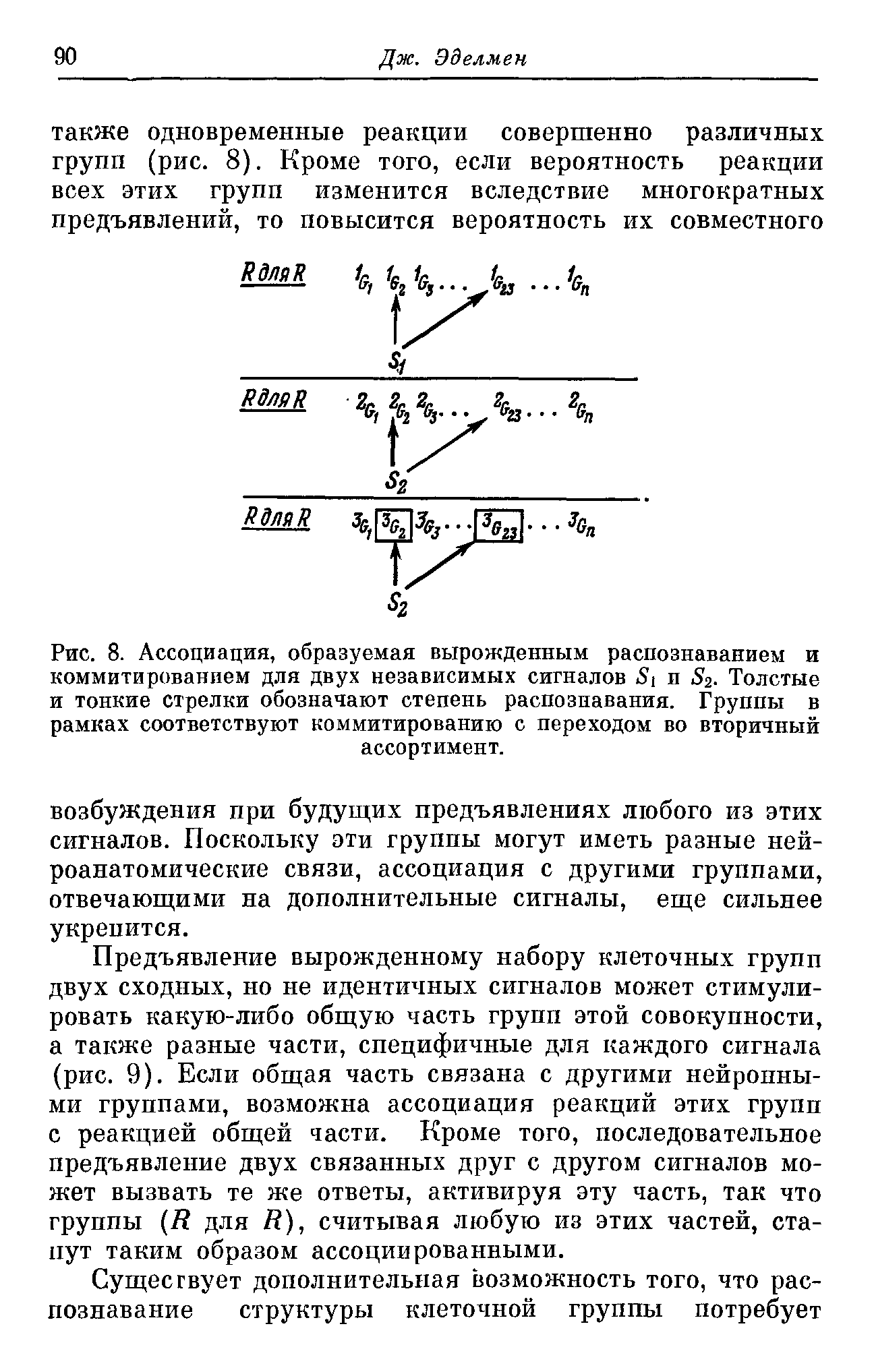 Рис. 8. Ассоциация, образуемая вырожденным распознаванием и коммитированием для двух независимых сигналов 5] и 52. Толстые и тонкие стрелки обозначают степень распознавания. Группы в рамках соответствуют коммитированию с переходом во вторичный ассортимент.