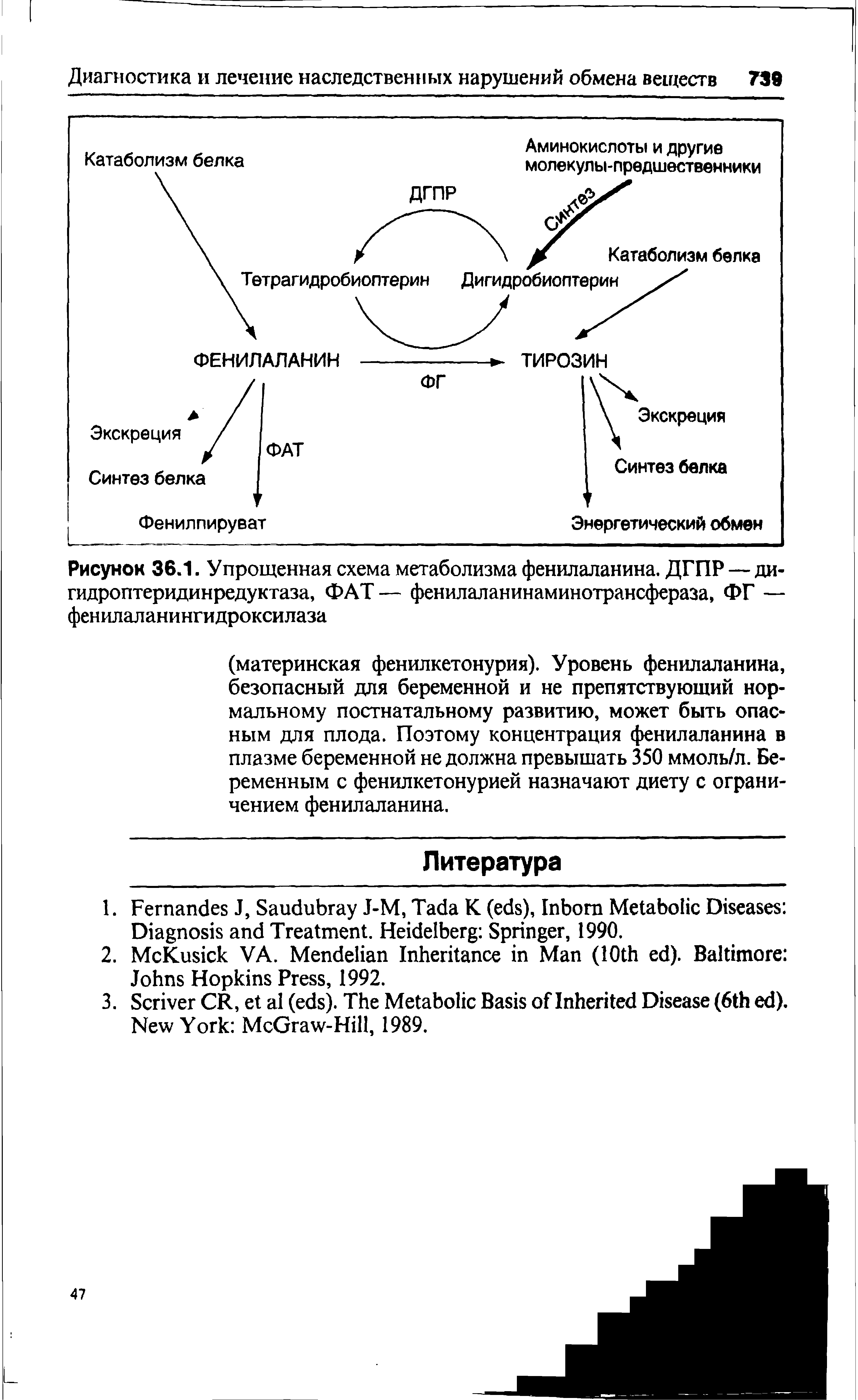 Рисунок 36.1. Упрощенная схема метаболизма фенилаланина. ДГПР — ди-гидроптеридинредуктаза, ФАТ — фенилаланинаминотрансфераза, ФГ — фенилаланингидроксилаза...