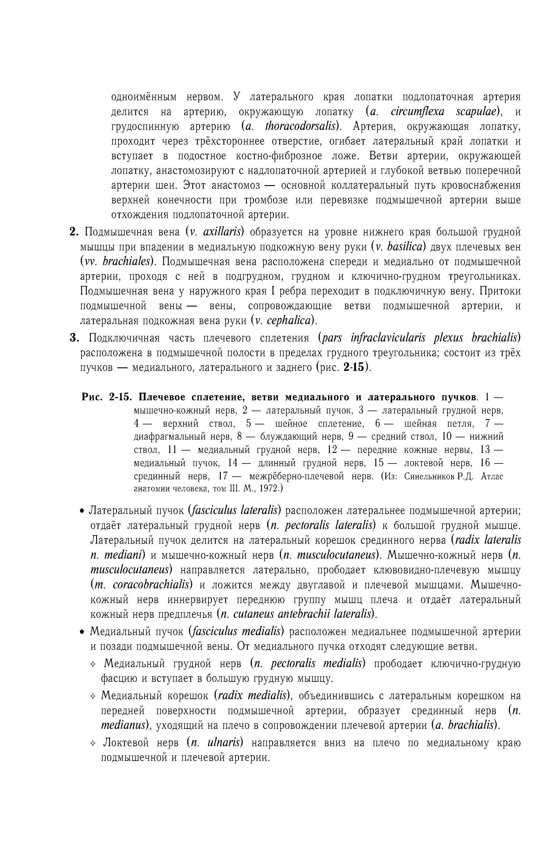 Рис. 2-15. Плечевое сплетение, ветви медиального и латерального пучков. 1 — мышечно-кожный нерв, 2 — латеральный пучок, 3 — латеральный грудной нерв, 4 — верхний ствол, 5 — шейное сплетение, 6 — шейная петля, 7 — диафрагмальный нерв, 8 — блуждающий нерв, 9 — средний ствол, 10 — нижний ствол, 11 — медиальный грудной нерв, 12— передние кожные нервы, 13 — медиальный пучок, 14 — длинный грудной нерв, 15 — локтевой нерв, 16 — срединный нерв, 17— межрёберно-плечевой нерв. (Из Синельников Р.Д. Атлас анатомии человека, том III. М., 1972.)...
