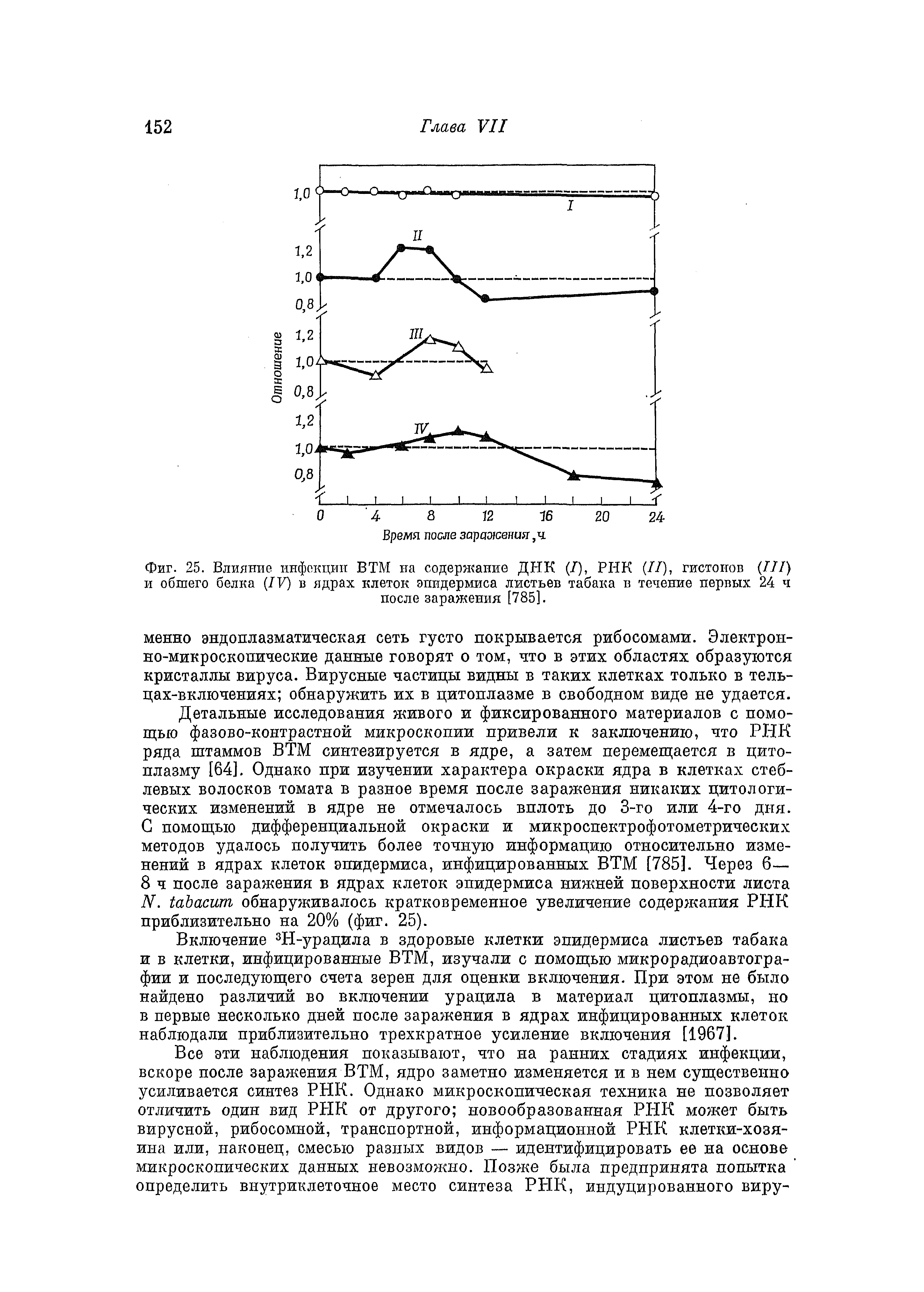 Фиг. 25. Влияние инфекции ВТМ на содержание ДНК (7), РНК (77), гистоггов (777) и обшего белка (IV) в ядрах клеток эпидермиса листьев табака в течение первых 24 ч после заражения [785].