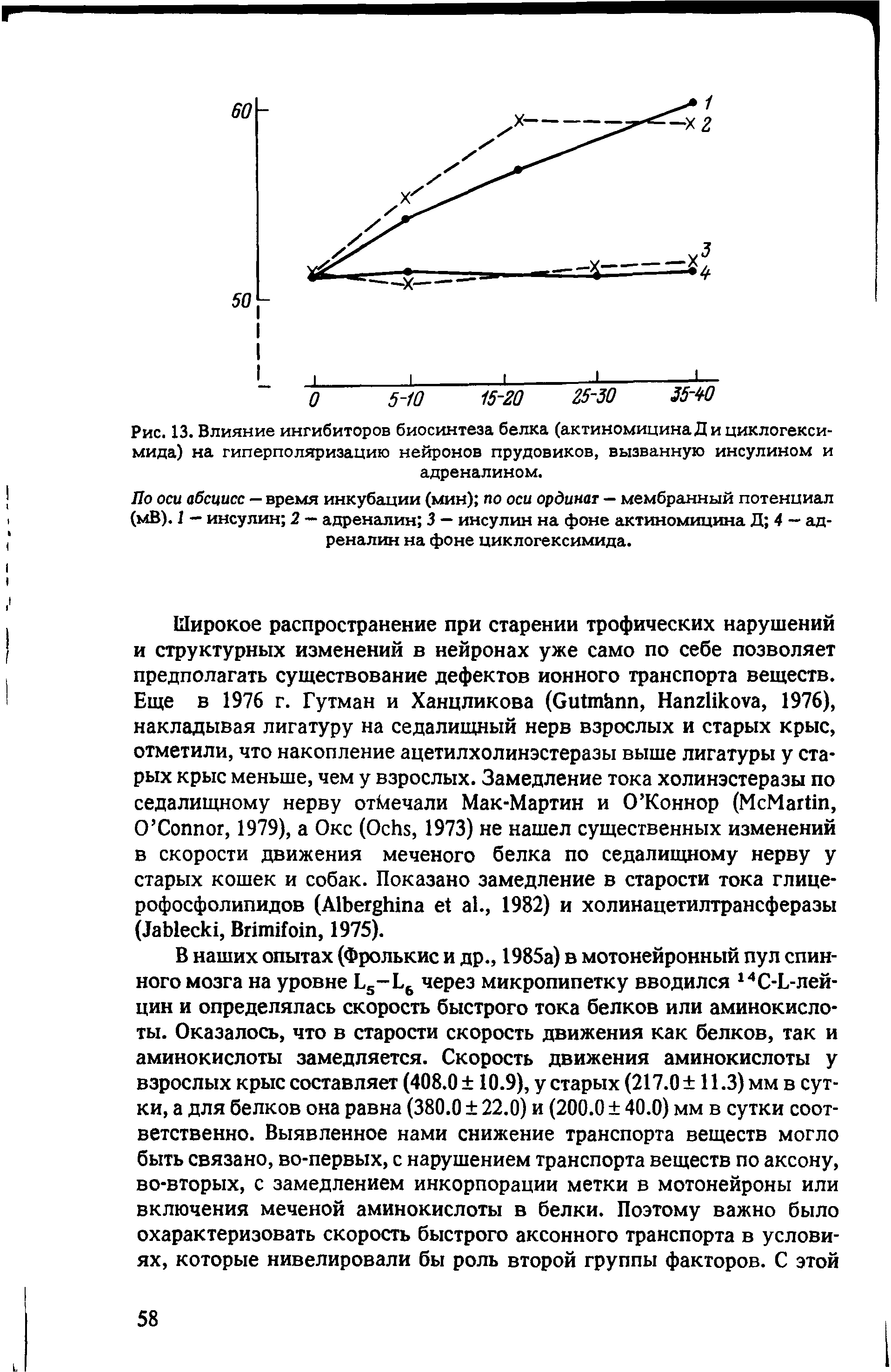 Рис. 13. Влияние ингибиторов биосинтеза белка (актиномицина Д и циклогексимида) на гиперполяризацию нейронов прудовиков, вызванную инсулином и адреналином.